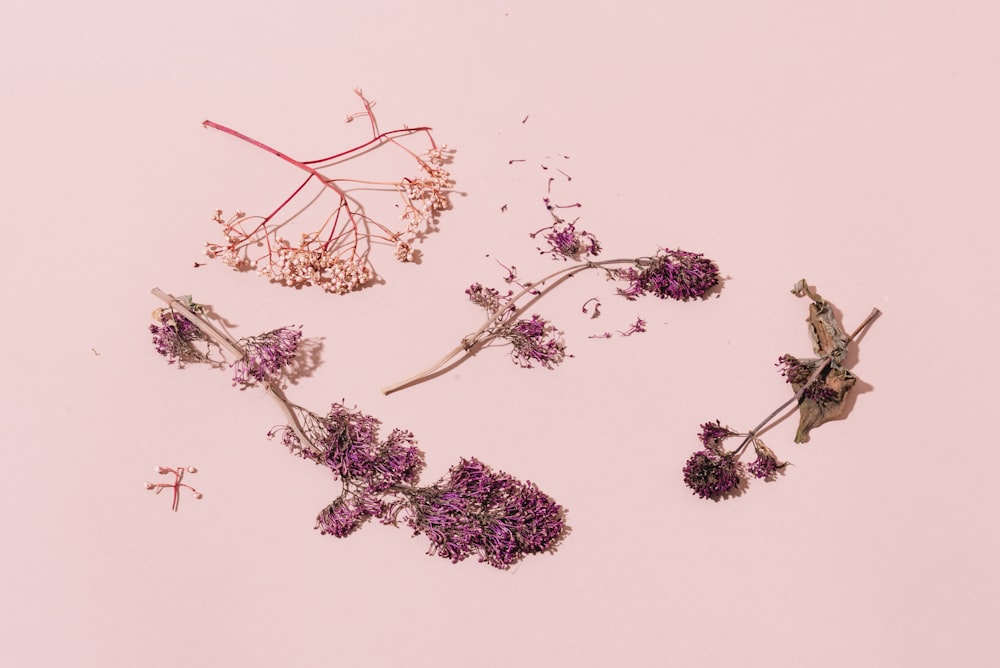 shallow focus photo of purple flowers on white surface