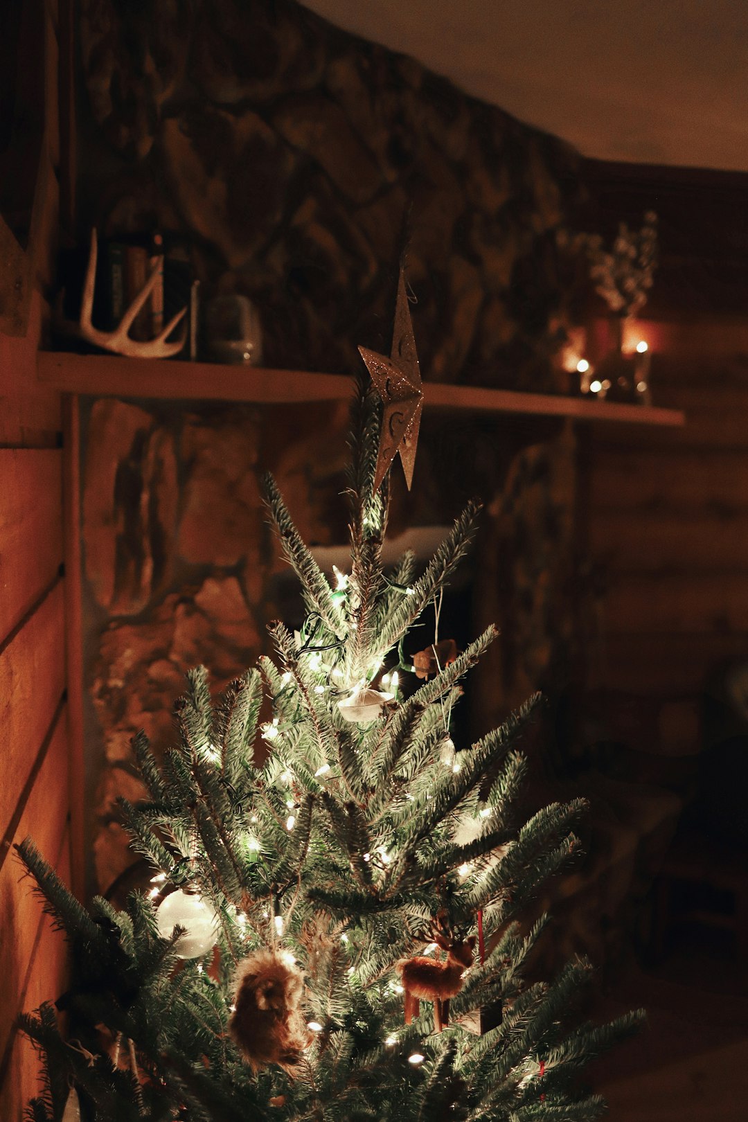 lit Christmas tree
