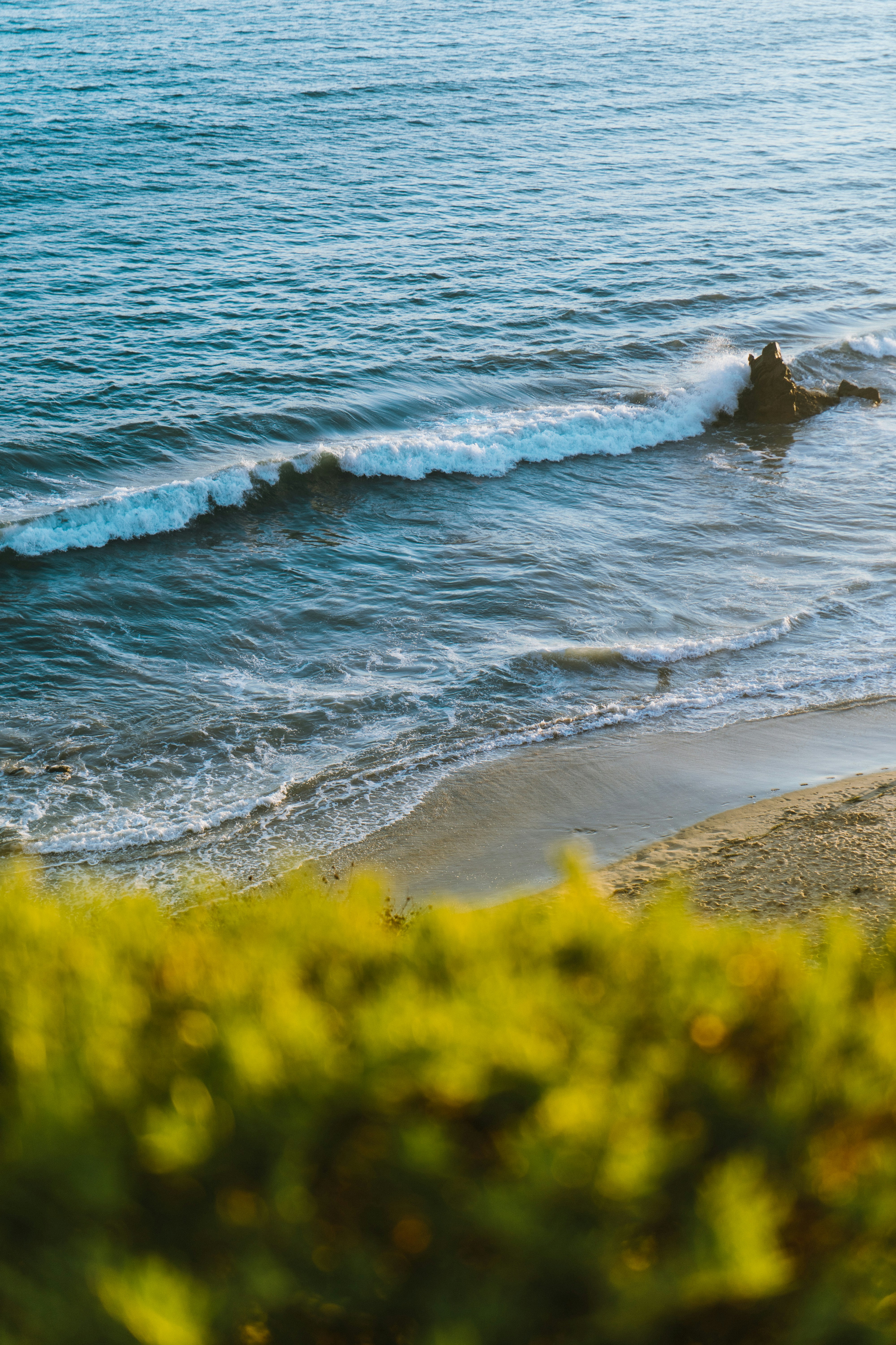 Photo by brandonrussell