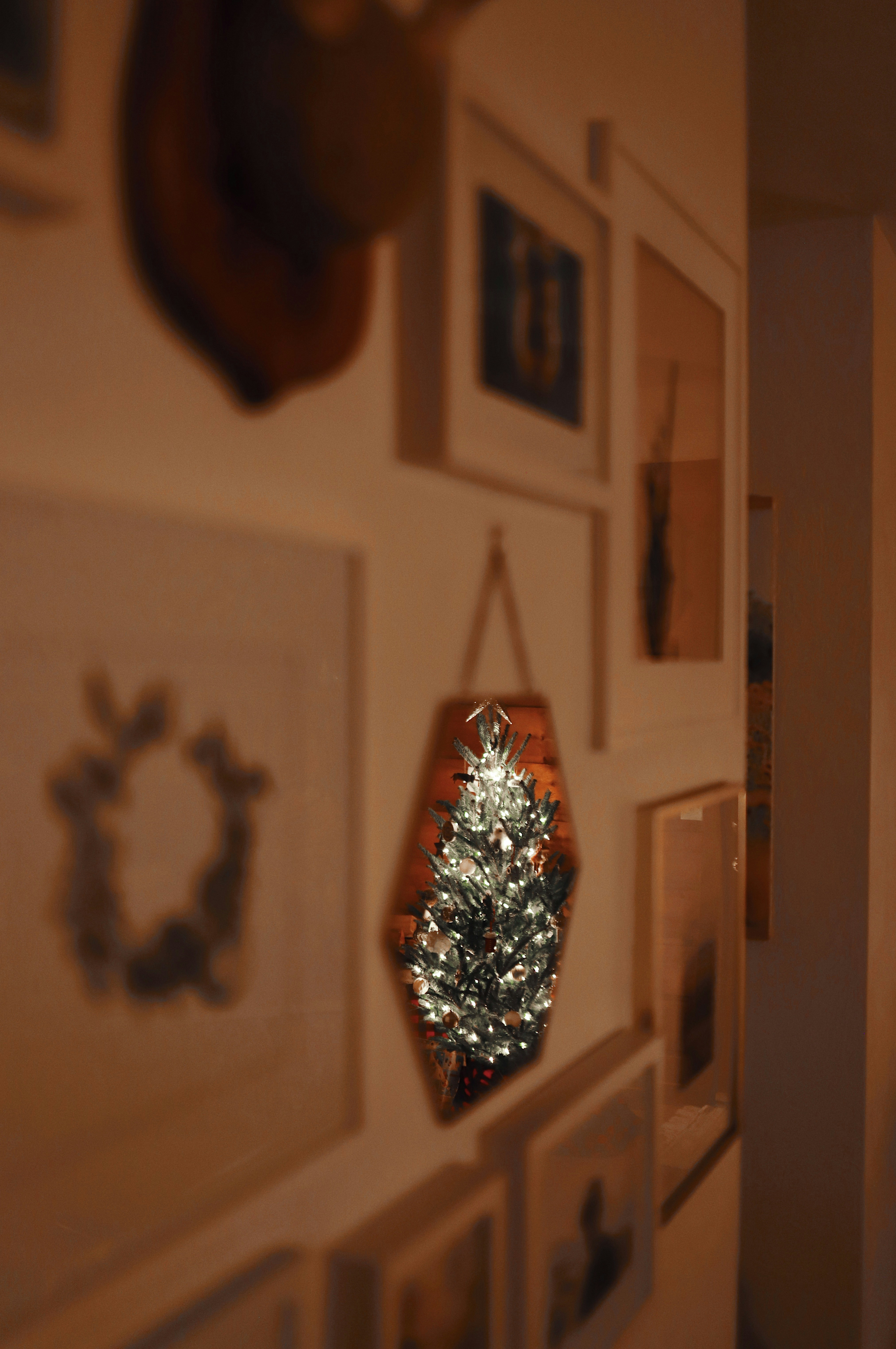 Photo by amyjoyhumphries