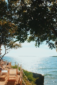 white and brown chair beside green tree near body of water