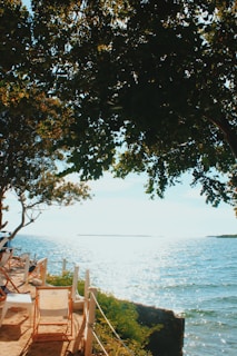 white and brown chair beside green tree near body of water