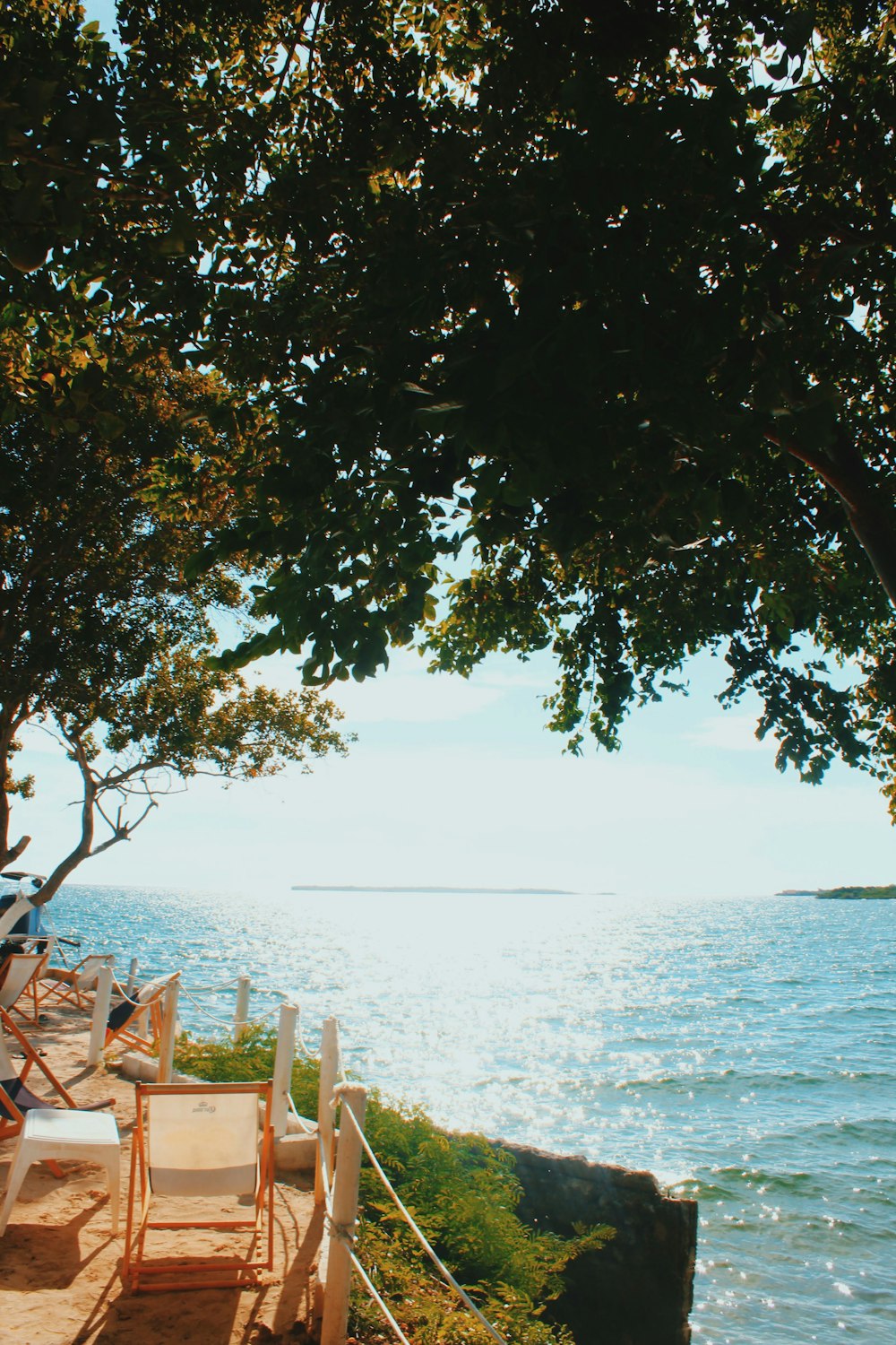 white and brown chair beside green tree near body of water