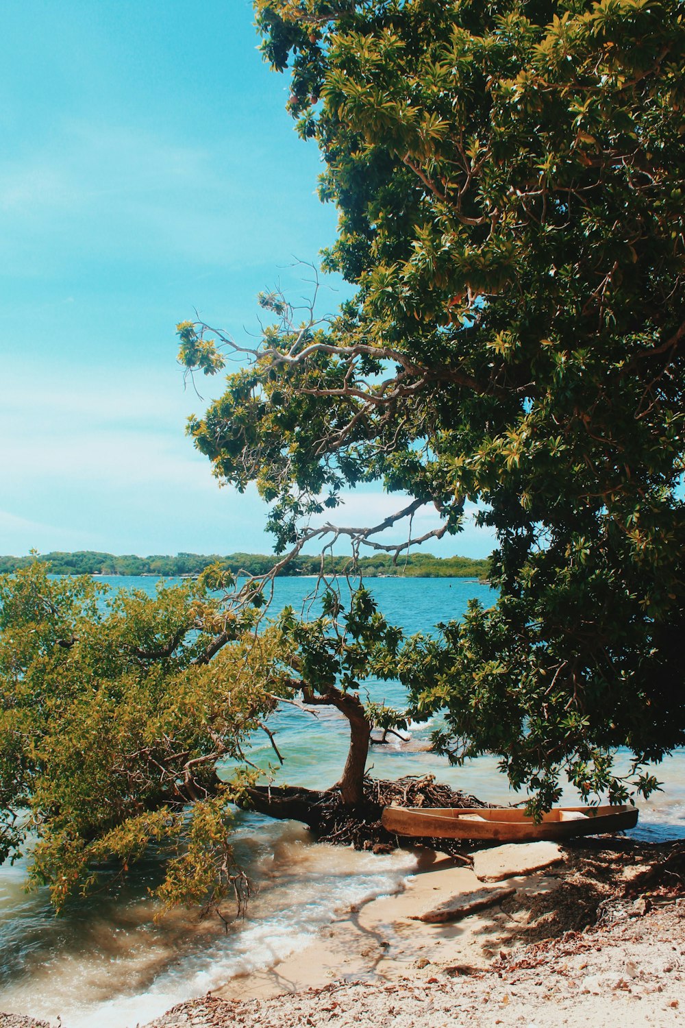 green trees