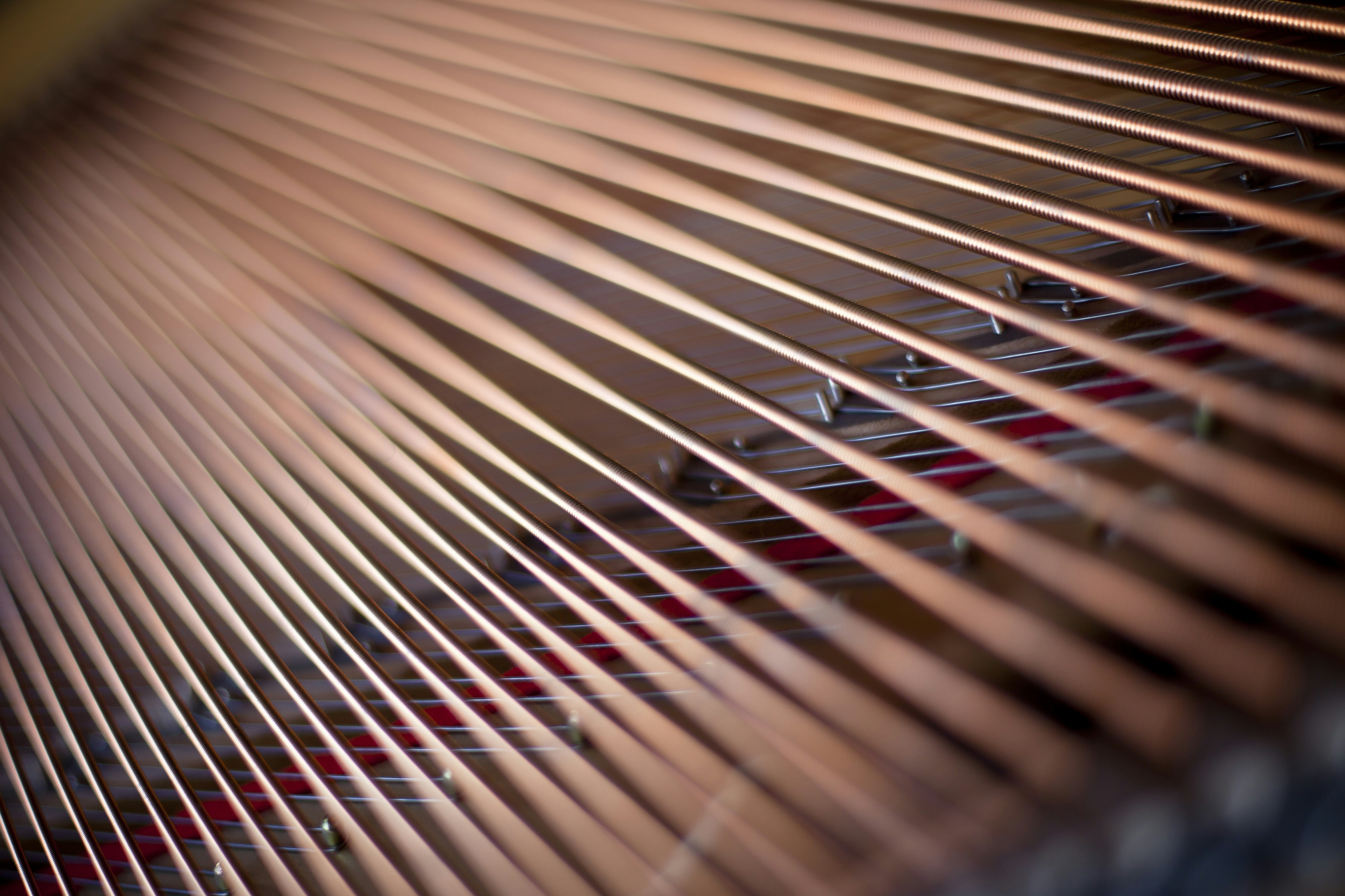 Photo by renolaithienne