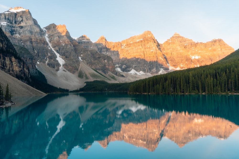 calm body of water surrounded with trees