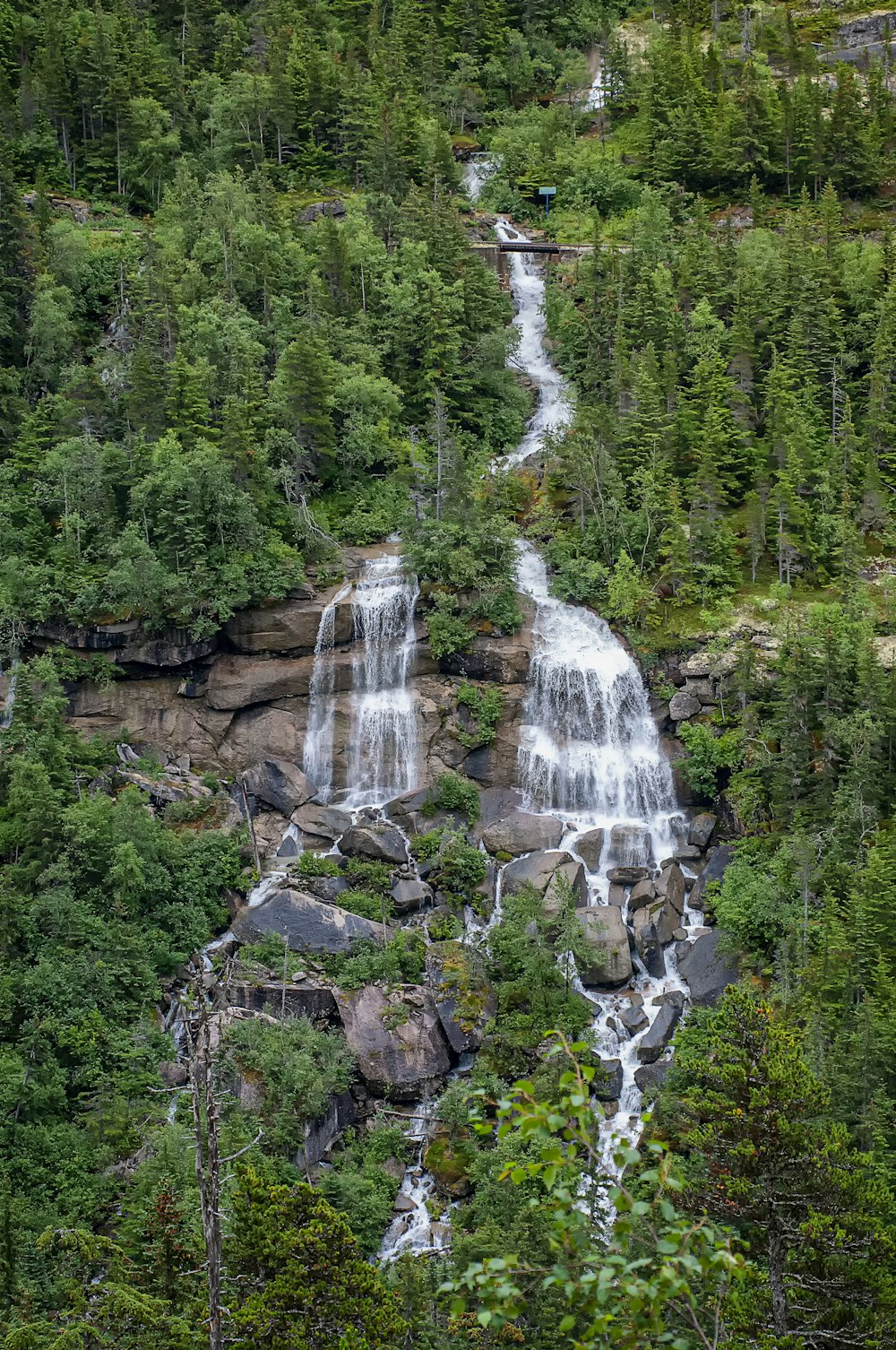 waterfalls near trees