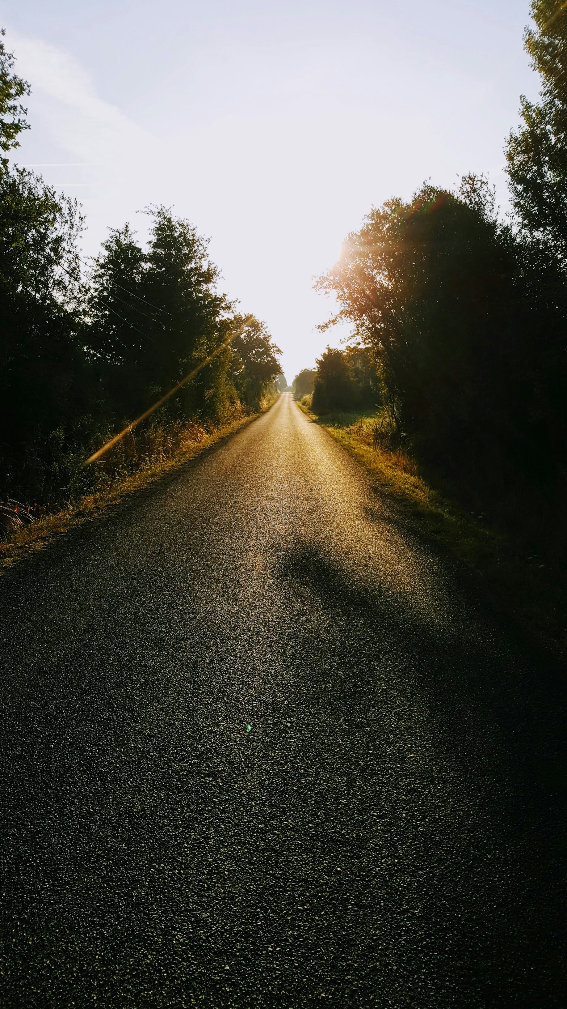 Photo by stijnverplancke