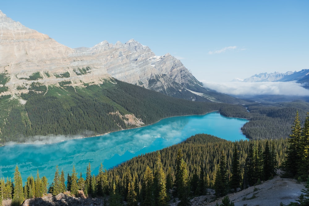 river, forest, and mountains during day