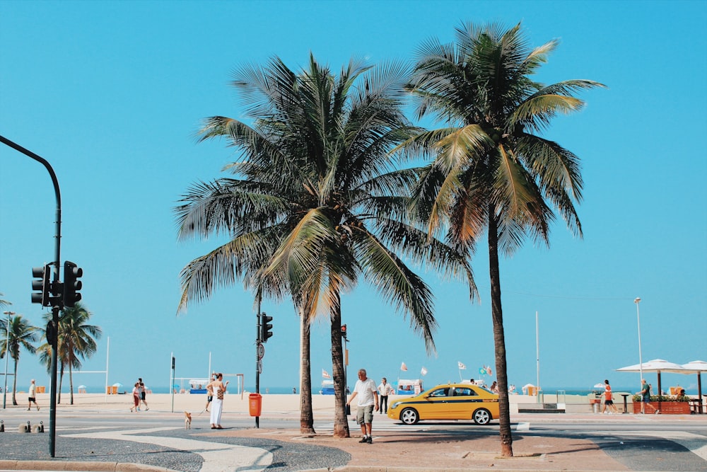 people walking near coconut trees and yellow car during daytime