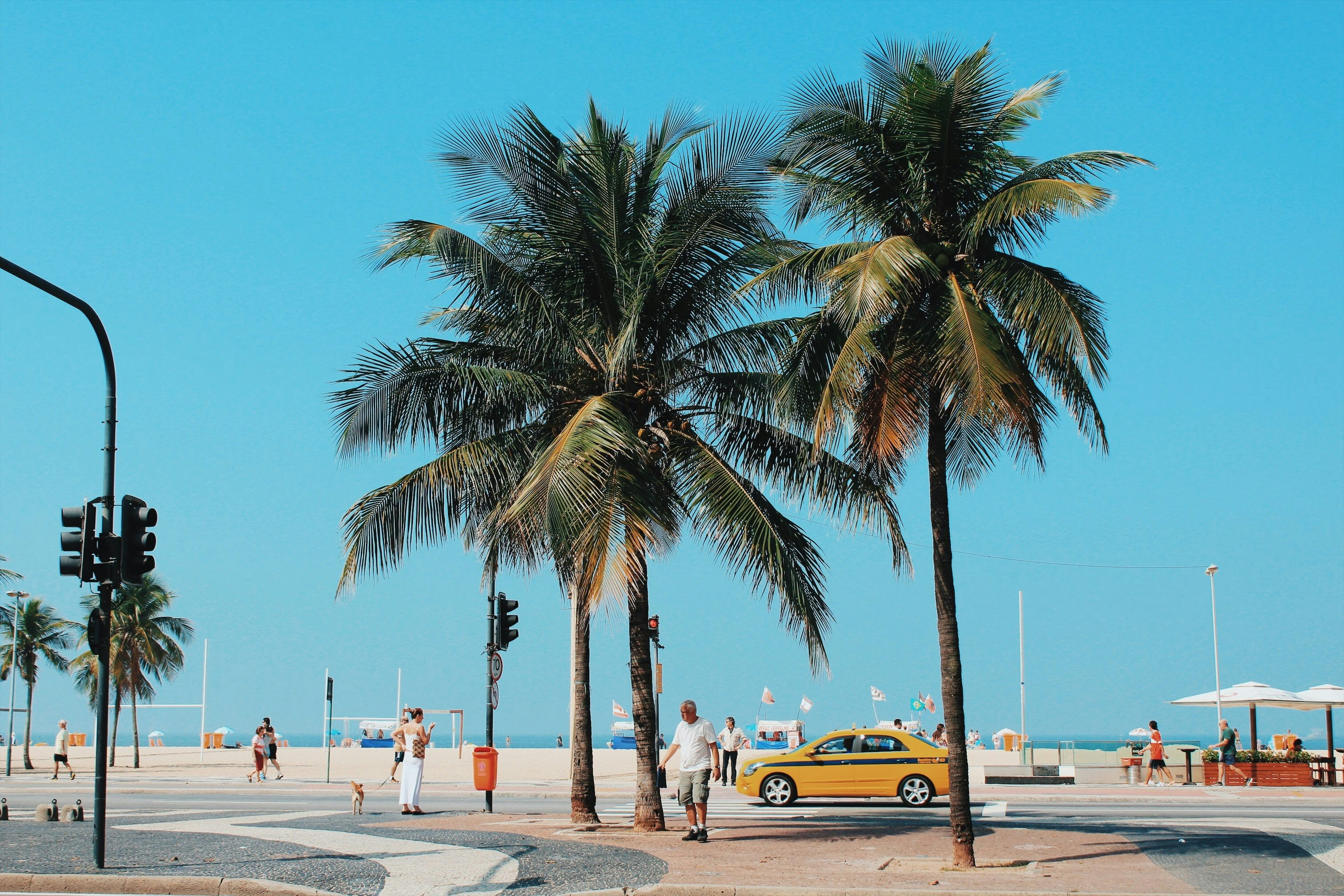 people walking near coconut trees and yellow car during daytime