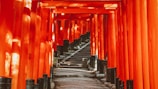 Vermillion torii gates of Fushimi Inari Shrine winding up the mountain.