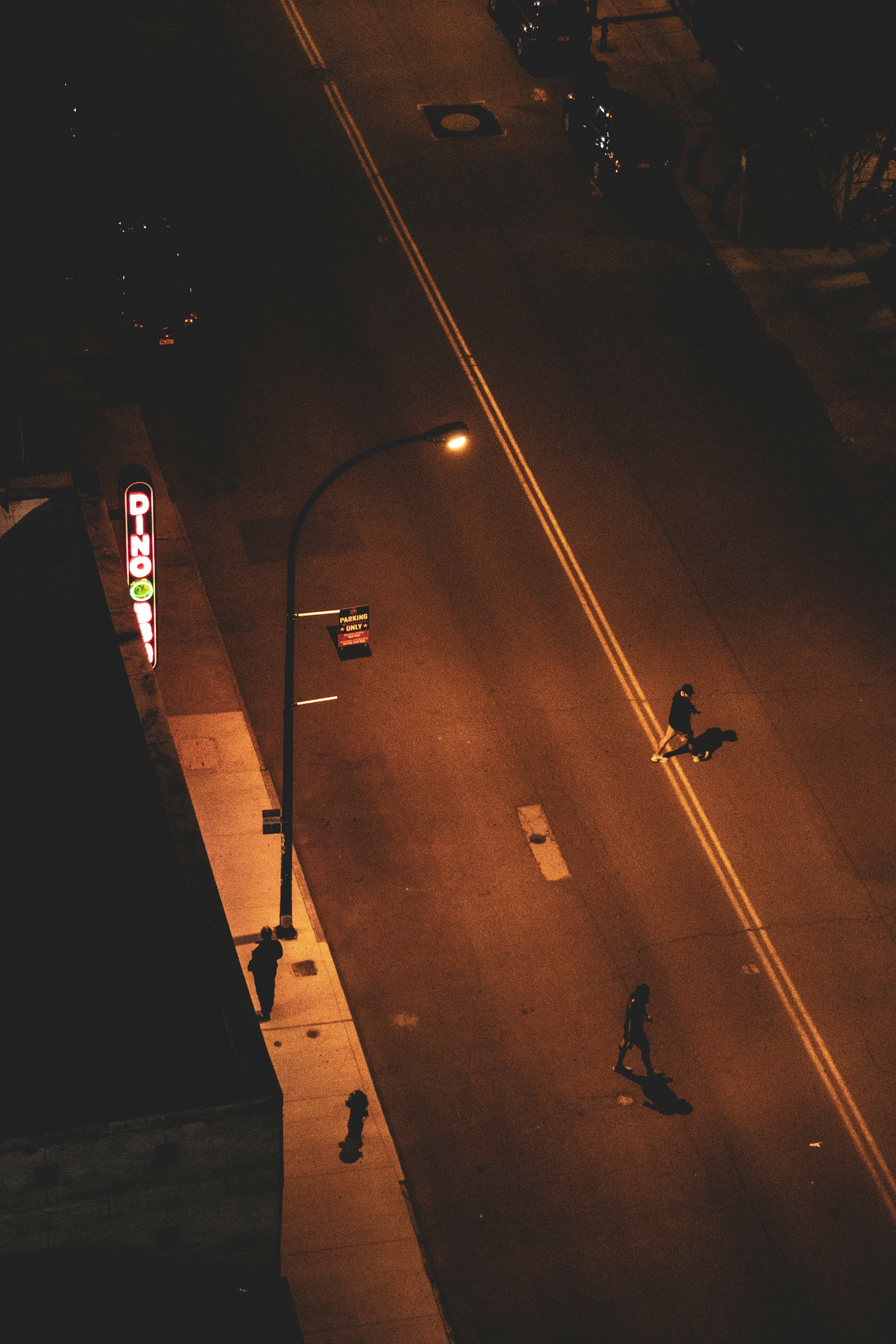 people walking on pedestrian lane during night time