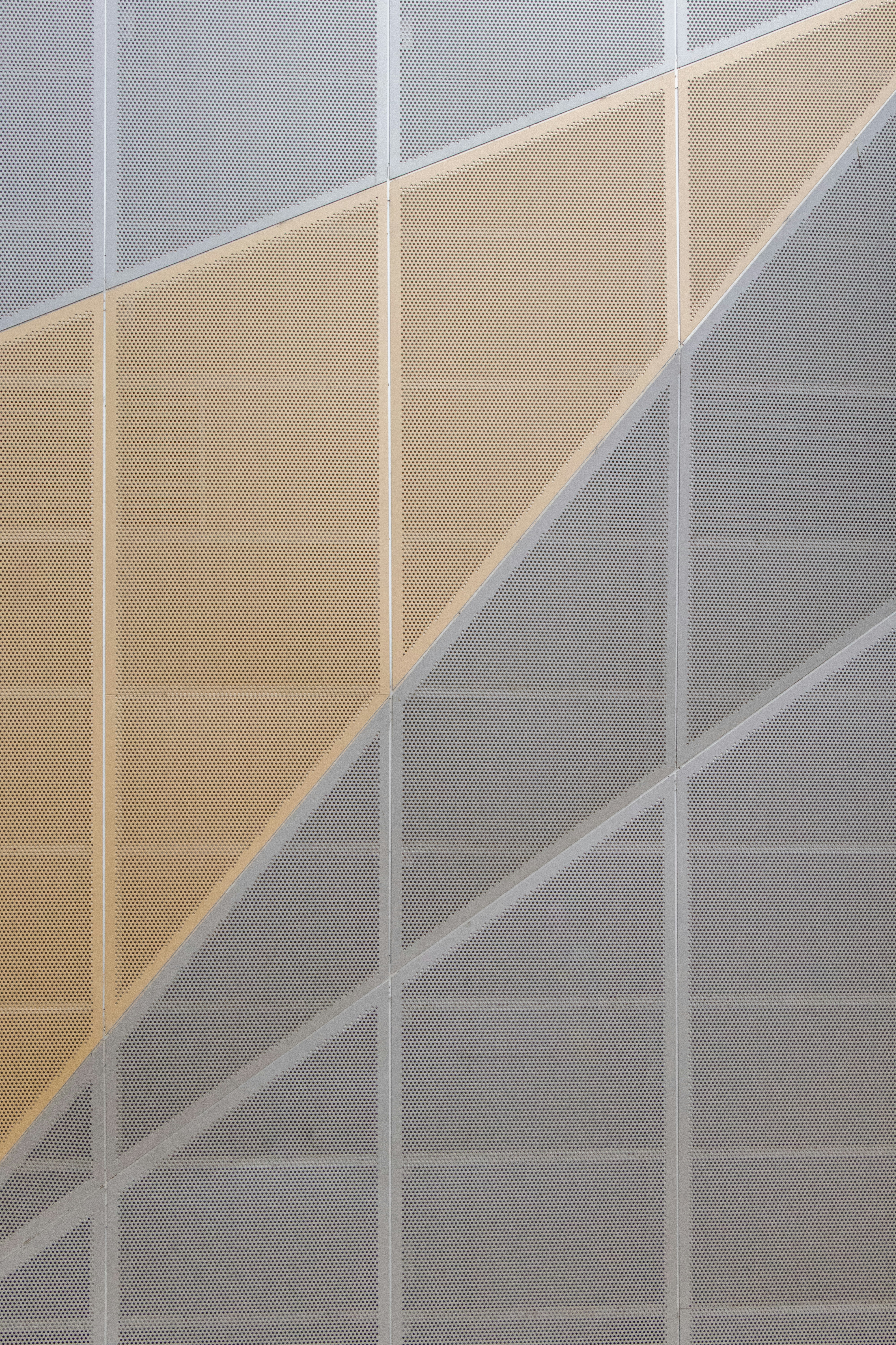 campus life wallpaper, wallpaper, Bisnis Digital Unesa: Peluang dan Cara Memulainya 2