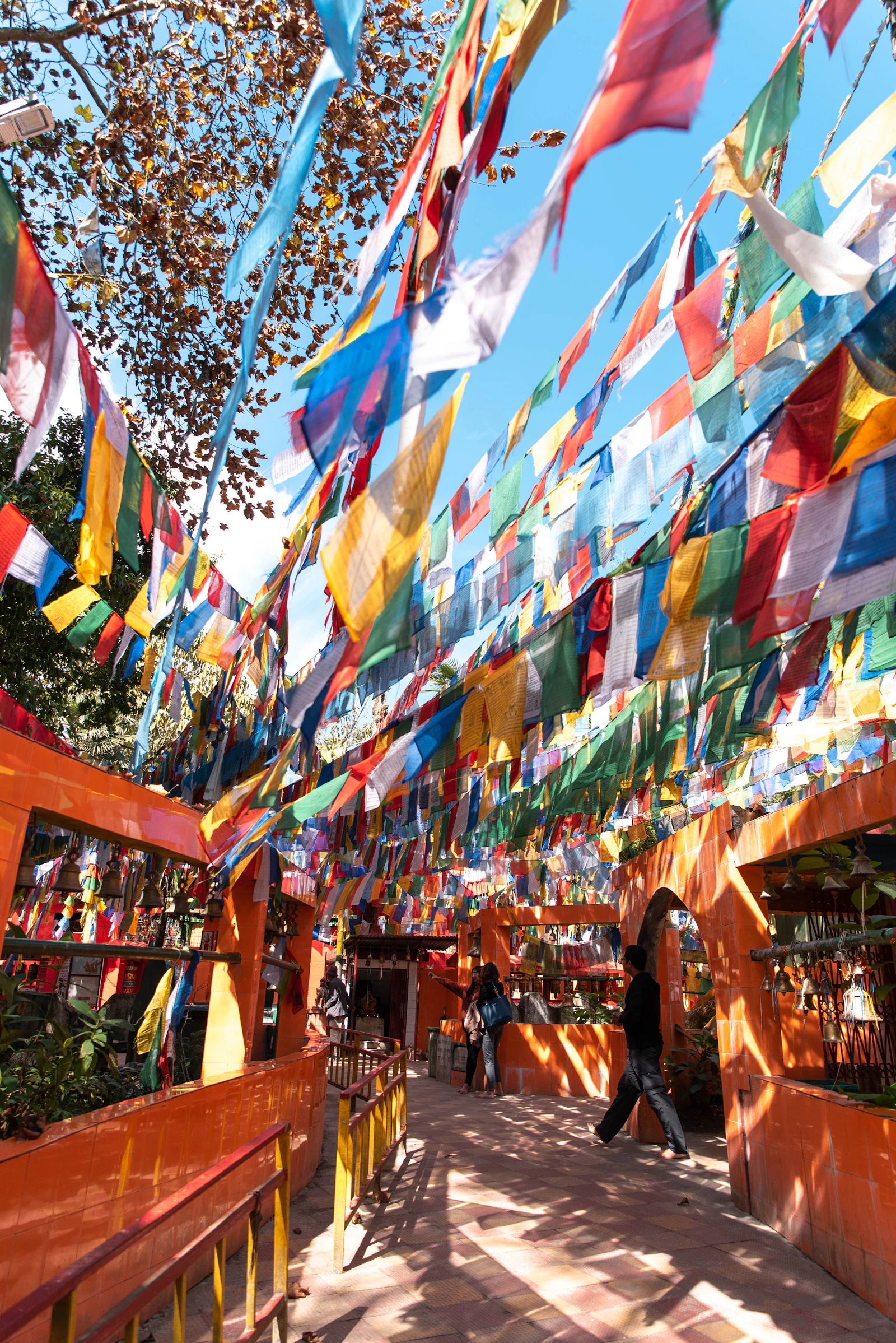Prayer flags strung thickly over the path to the Mahakal temple on Observatory Hill in Darjeeling