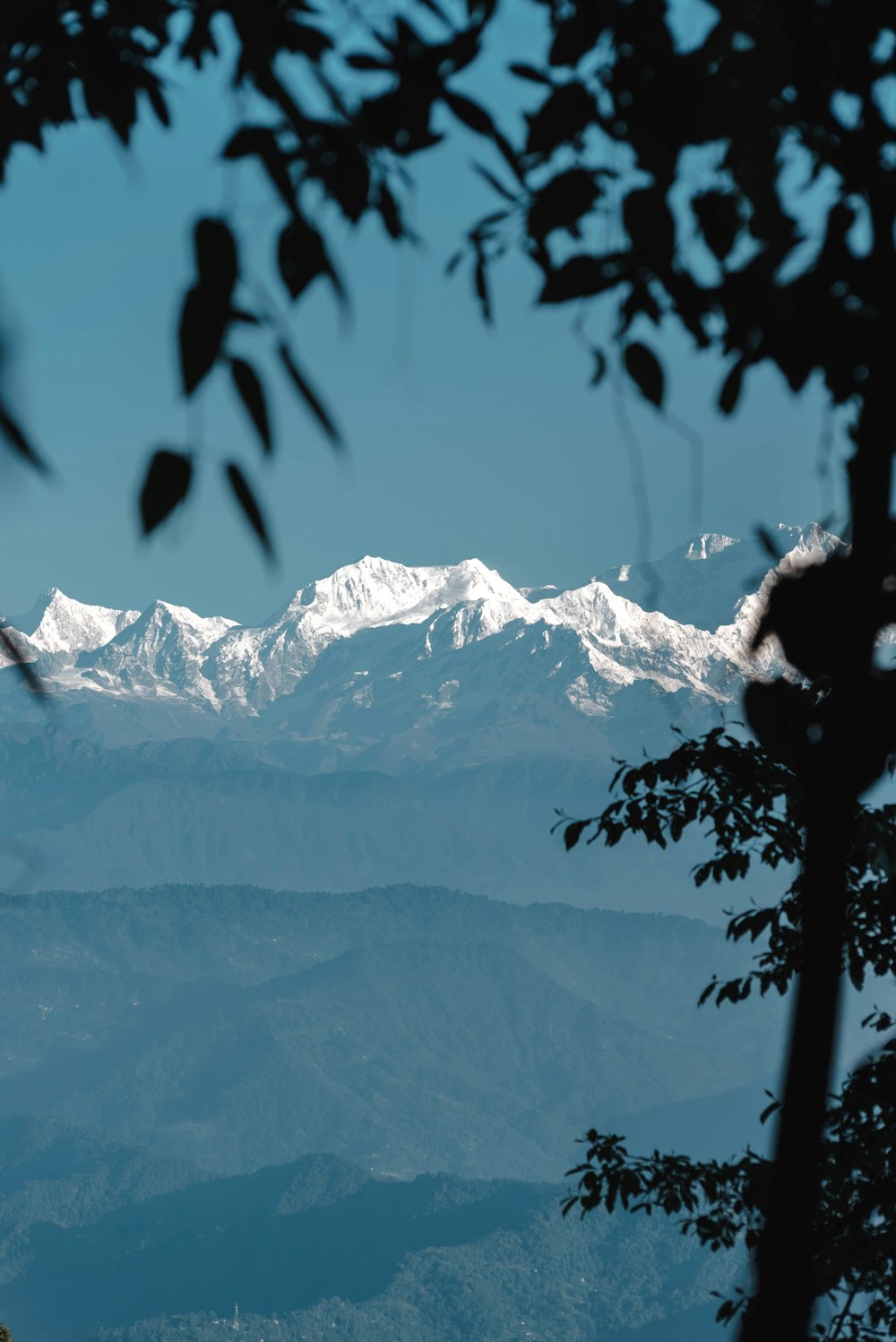 photographie de montagne enneigée