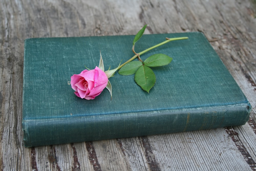 pink rose flower on closed green book