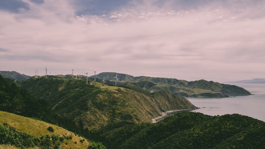 white wind turbines on hill near body of water in Makara New Zealand