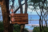 A wooden sign attached to a tree trunk by the ocean reads 'Sea turtles nesting, do not disturb.' Pink pom-poms and seashell decorations hang from the tree branches. The background features a scenic view of the ocean and a slightly blurred horizon.