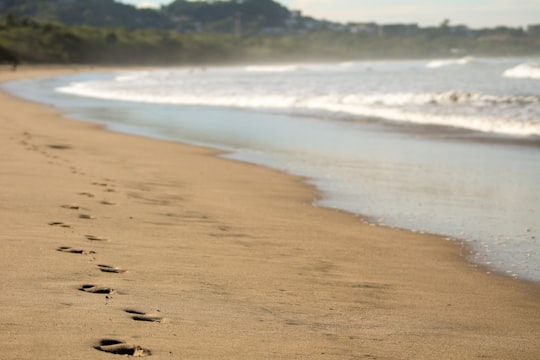 body of water photograph in Playa Grande Costa Rica