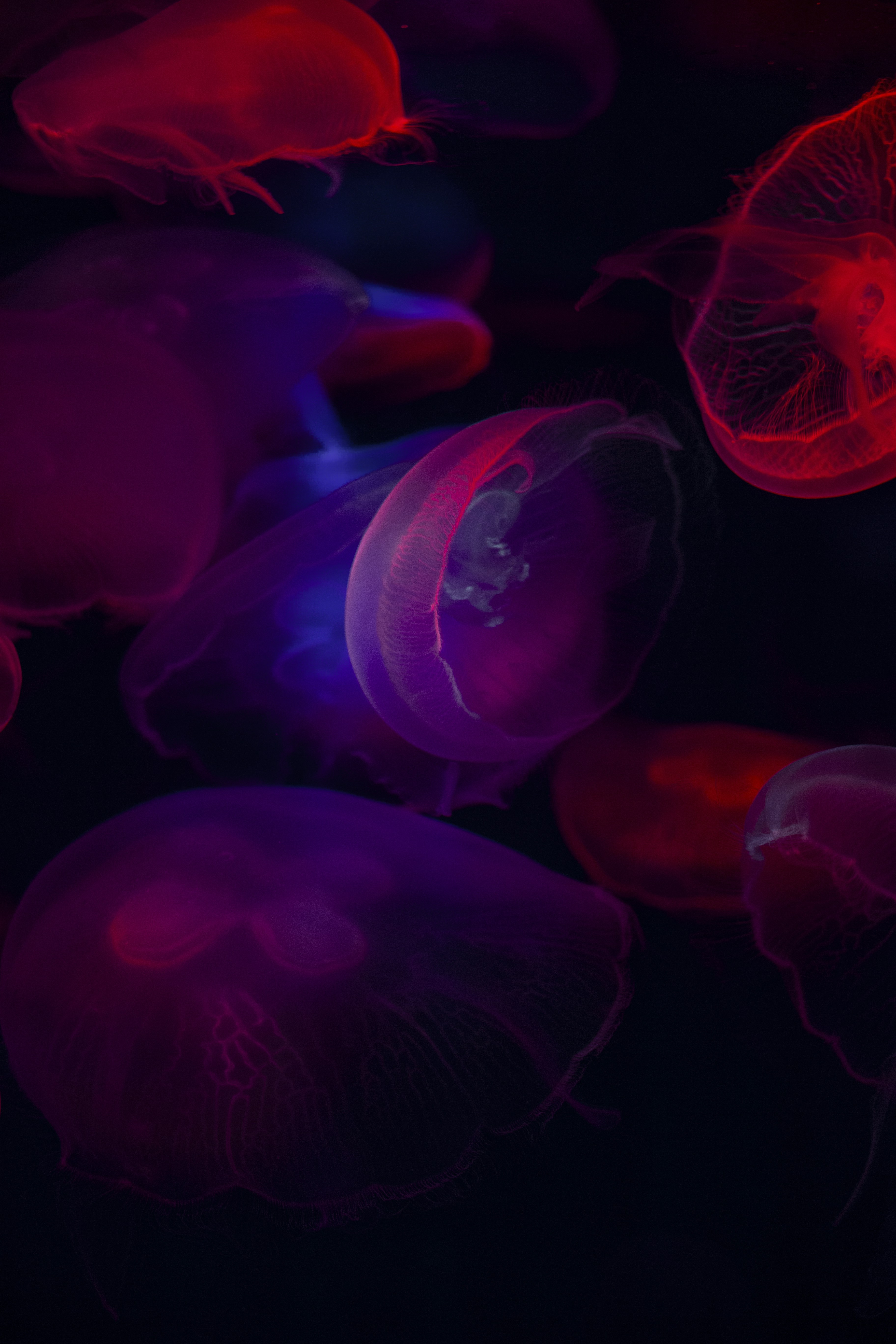 Photo by vinomamba24