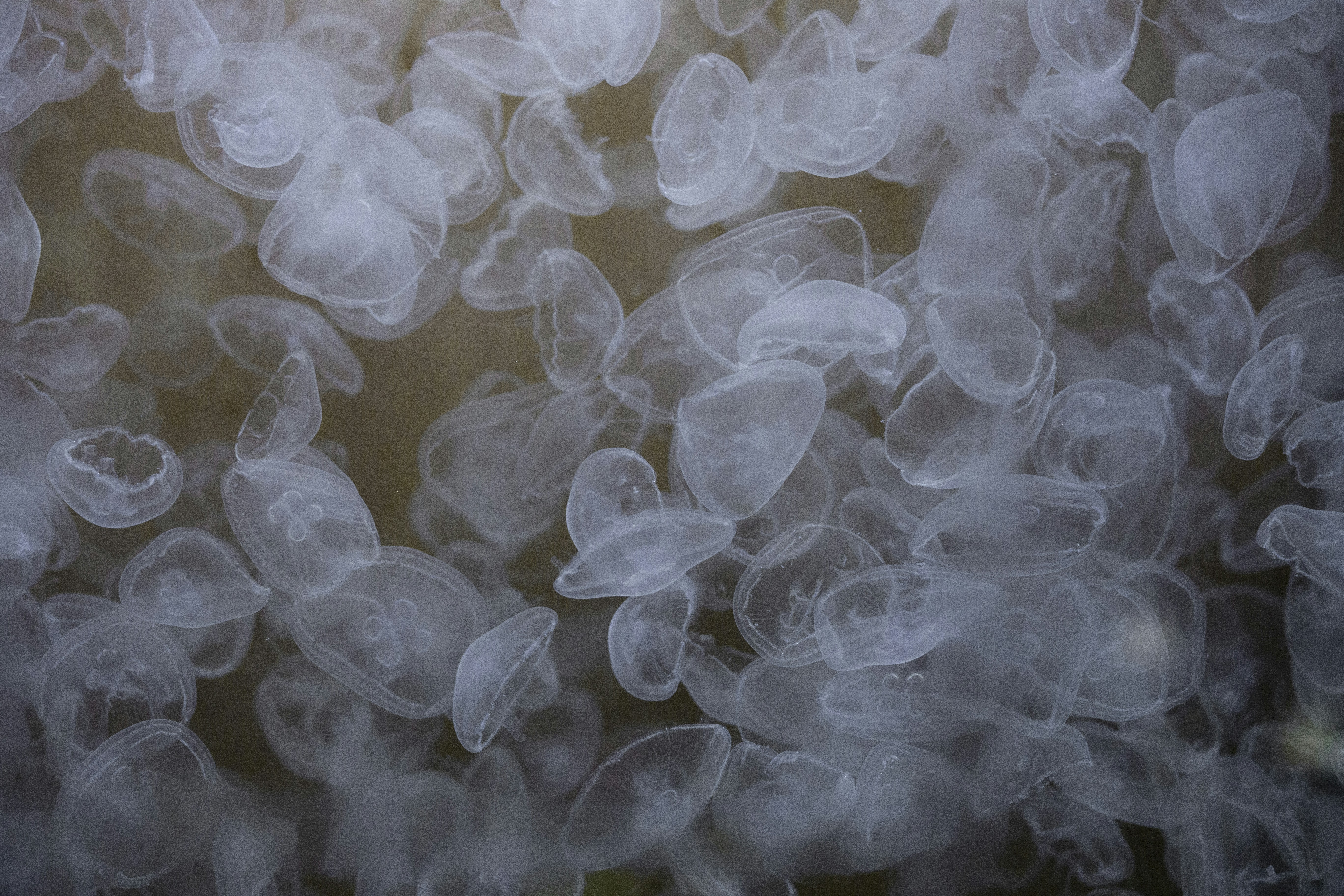 Photo by vinomamba24