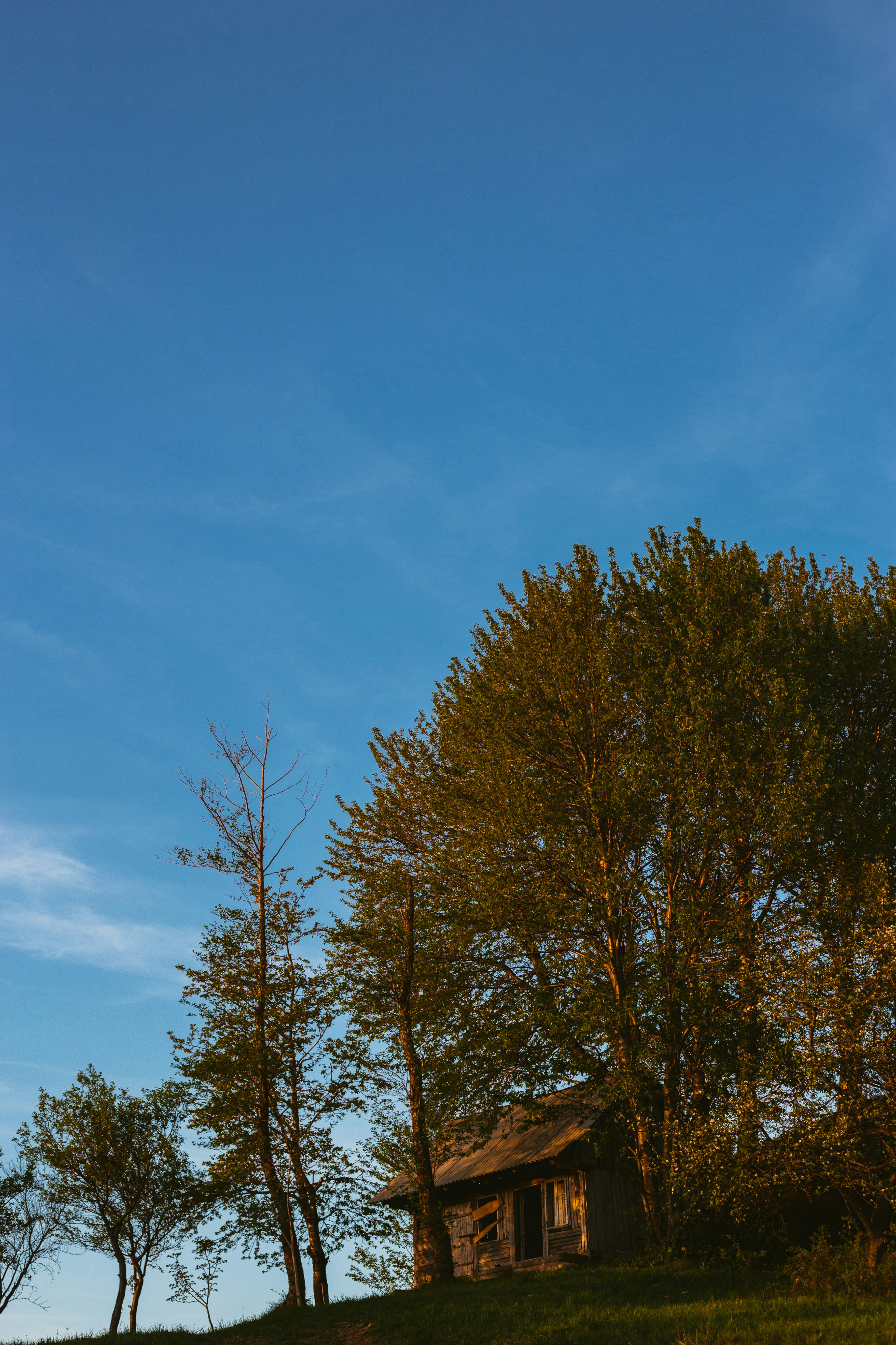 Photo by sandorlucas