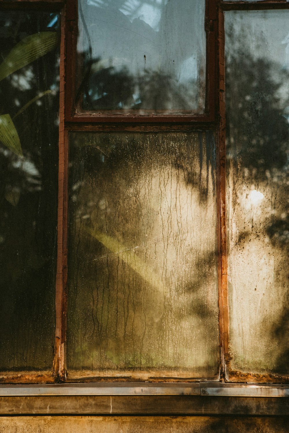 shallow focus photo of window
