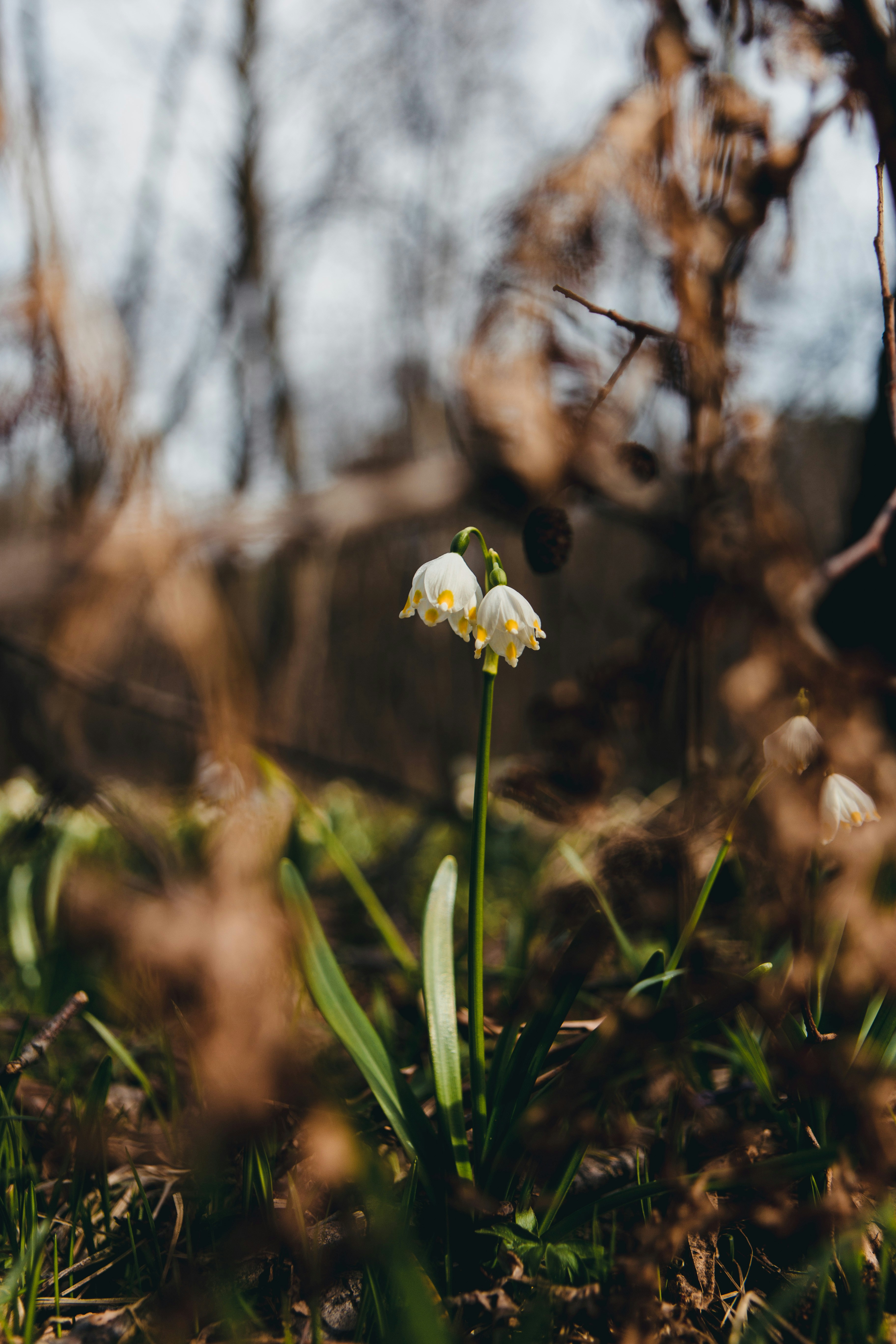 Photo by sandorlucas