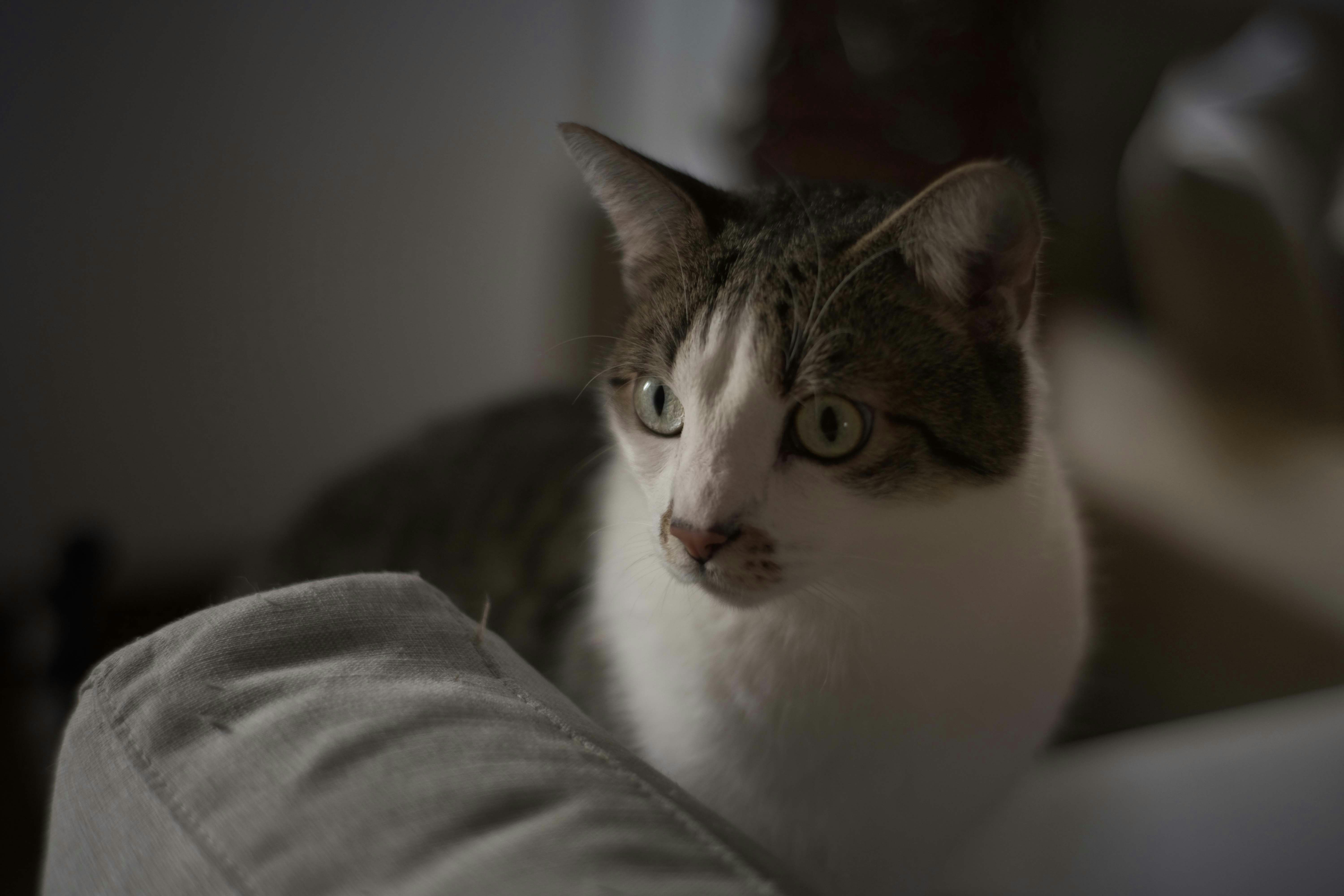 Photo by francesco_ungaro