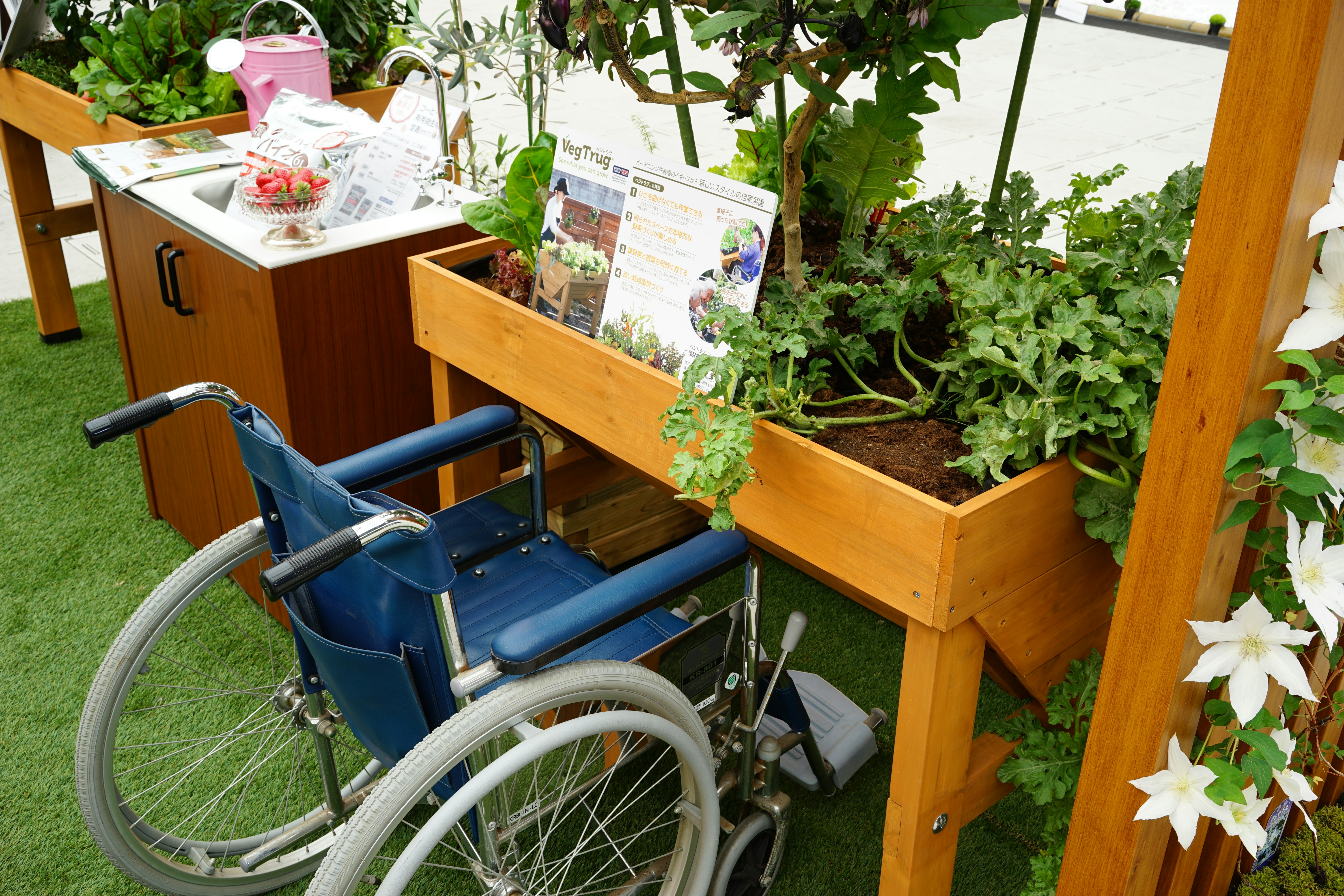 The Ultimate Guide to Raised Beds for Gardening