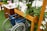 A wooden raised garden bed filled with lush green plants and soil is positioned next to a blue wheelchair. A gardening brochure is placed on the edge of the garden bed, providing information about the plants. Nearby, a countertop with a sink and gardening magazines is visible, highlighting an accessible garden setup.