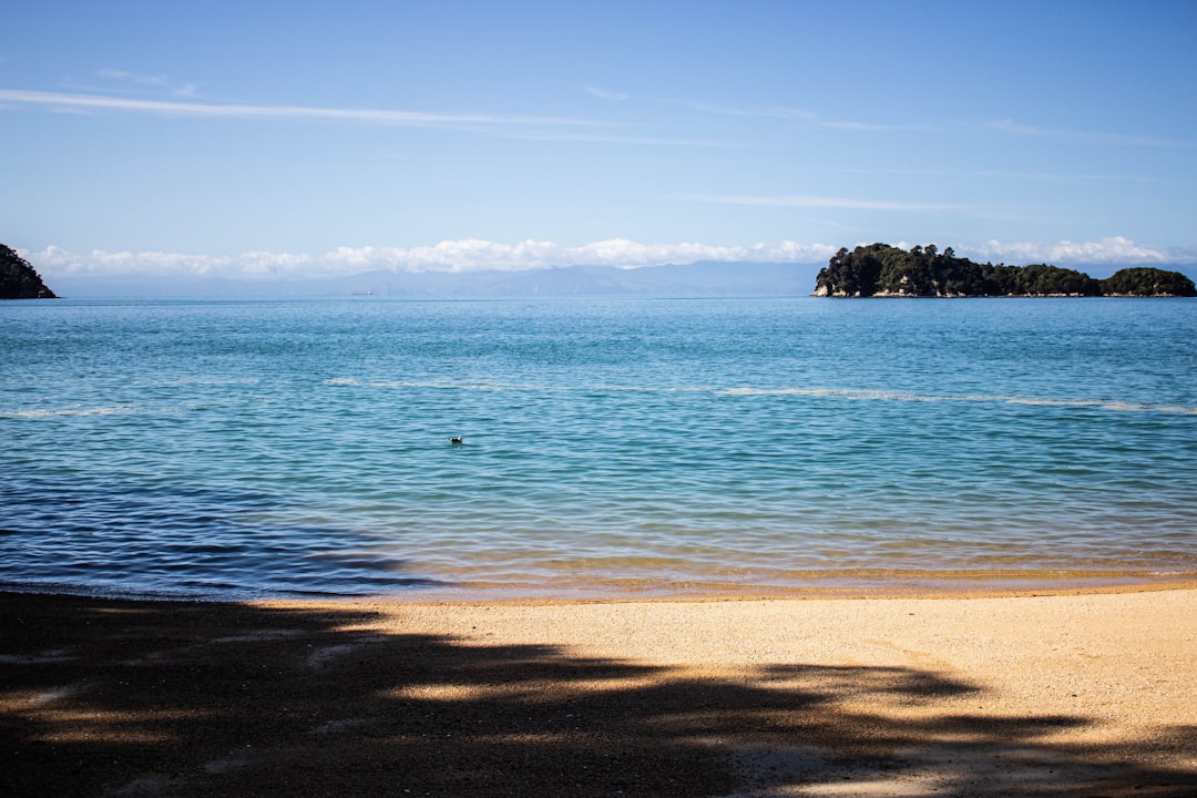 travelers stories about Beach in Abel Tasman National Park, New Zealand