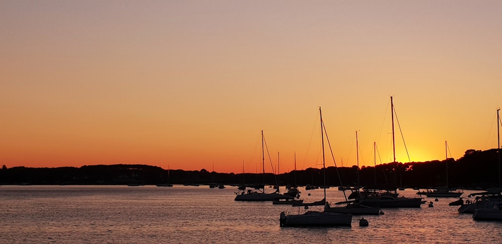 silhouette landscape photography of boats in the sea during golden hour