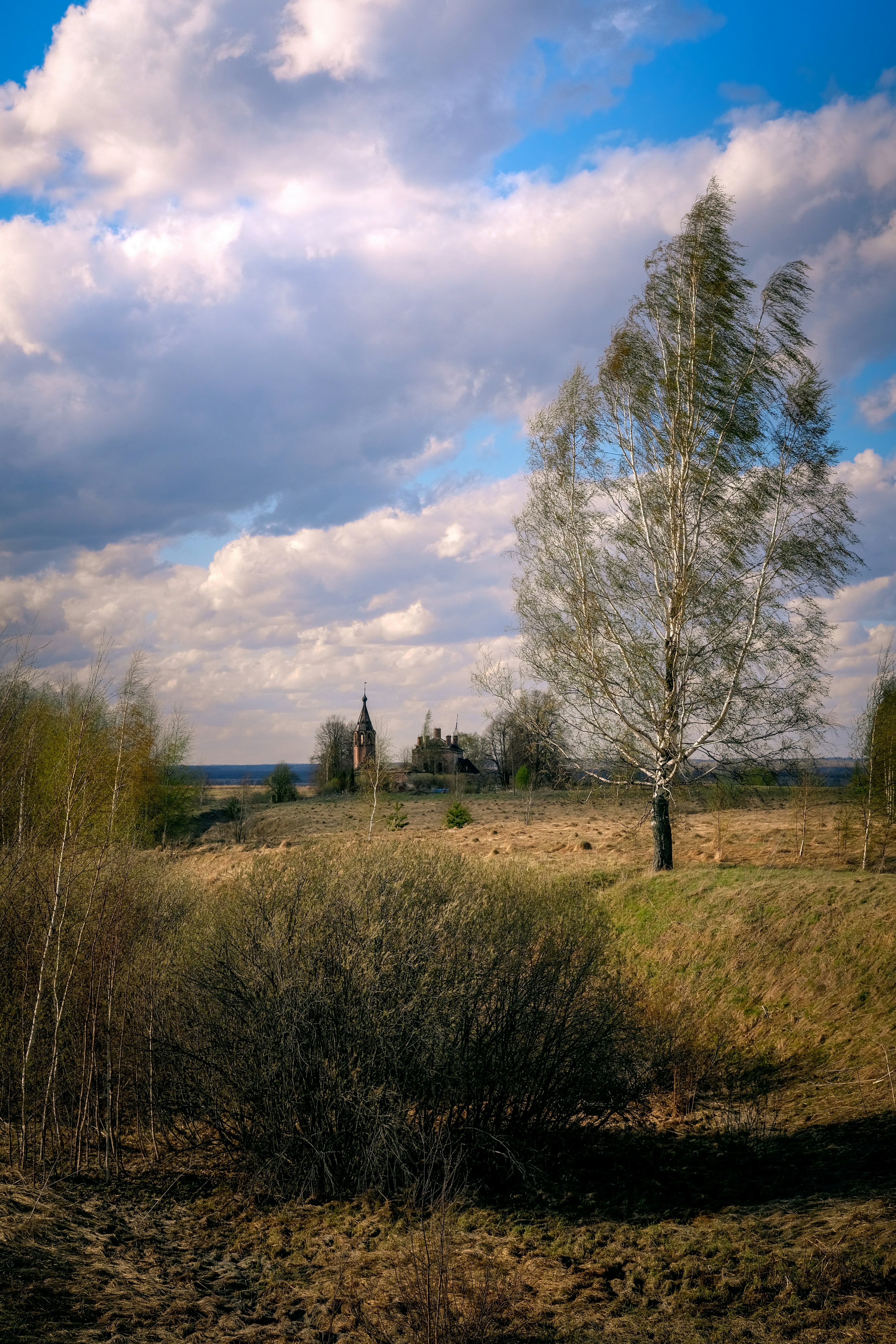 Photo by ilemekhov