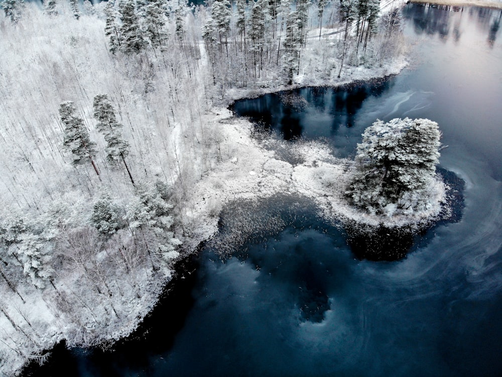 青い水域のそばの雪に覆われた土地と木々の航空写真