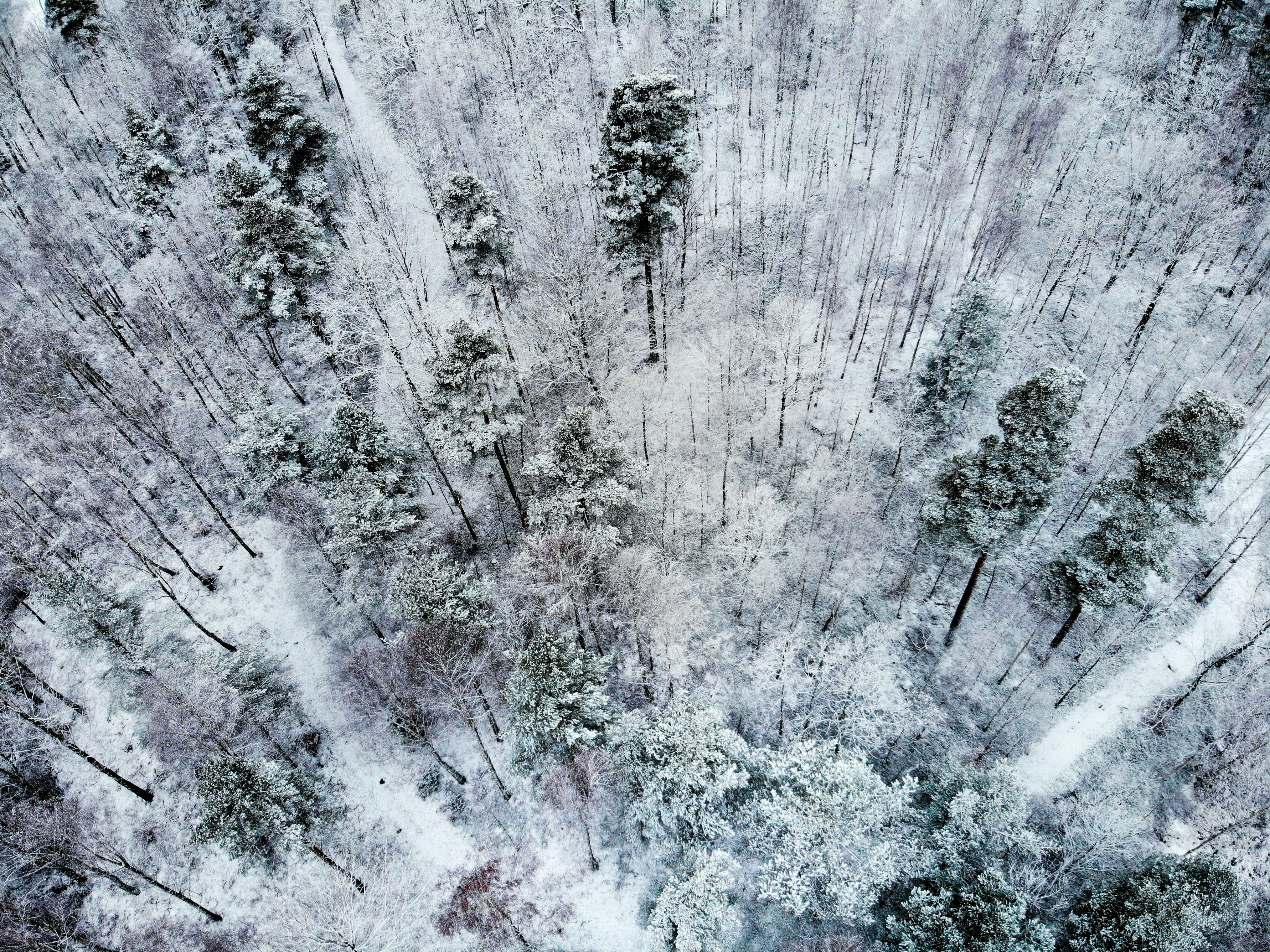 Photo by allthestories