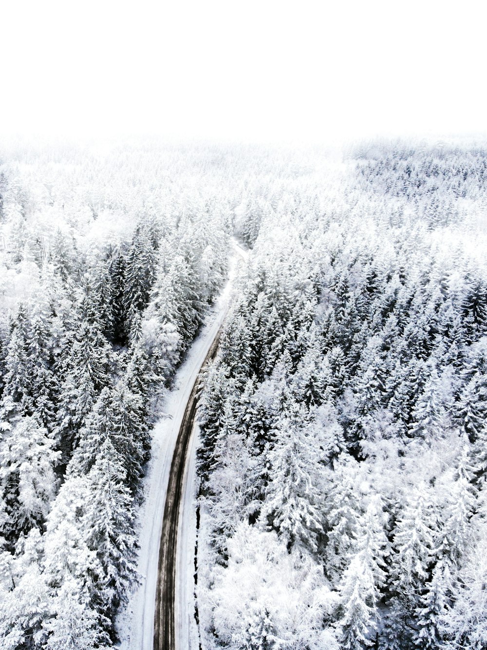 aerial photograph of road between trees during winter