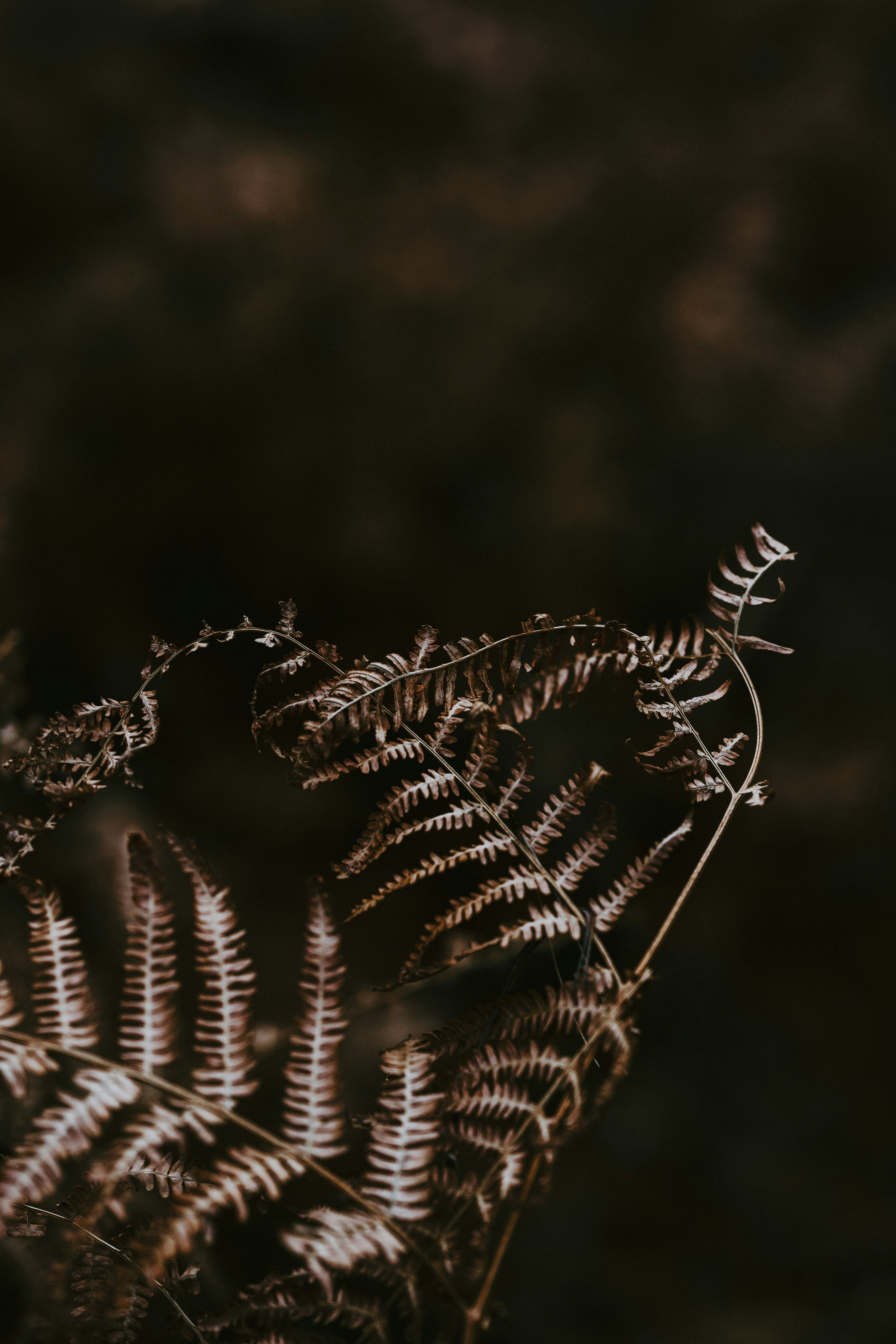 Photo by anniespratt