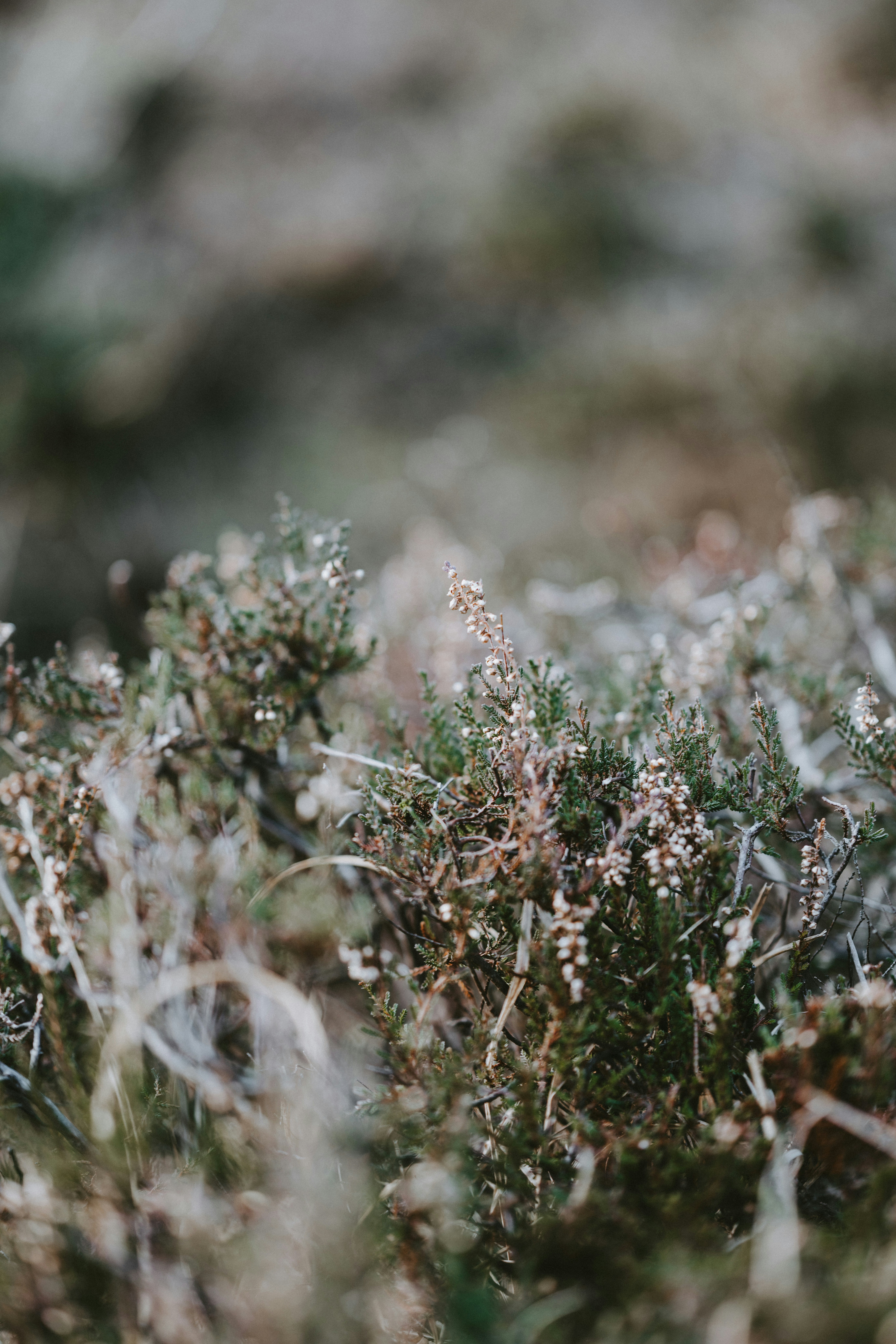 Photo by anniespratt