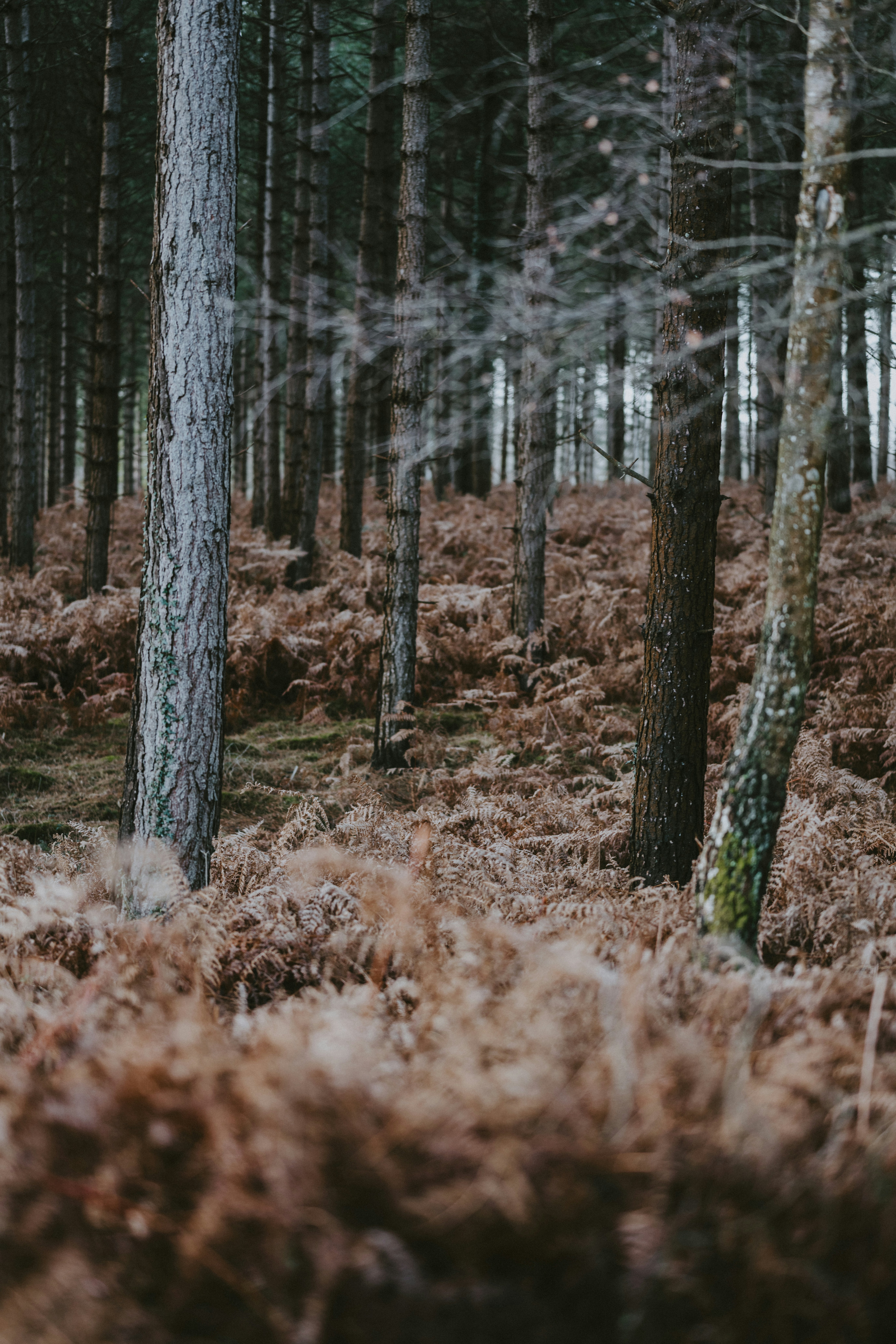 Photo by anniespratt