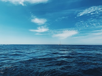 boat floating in the sea during daytime