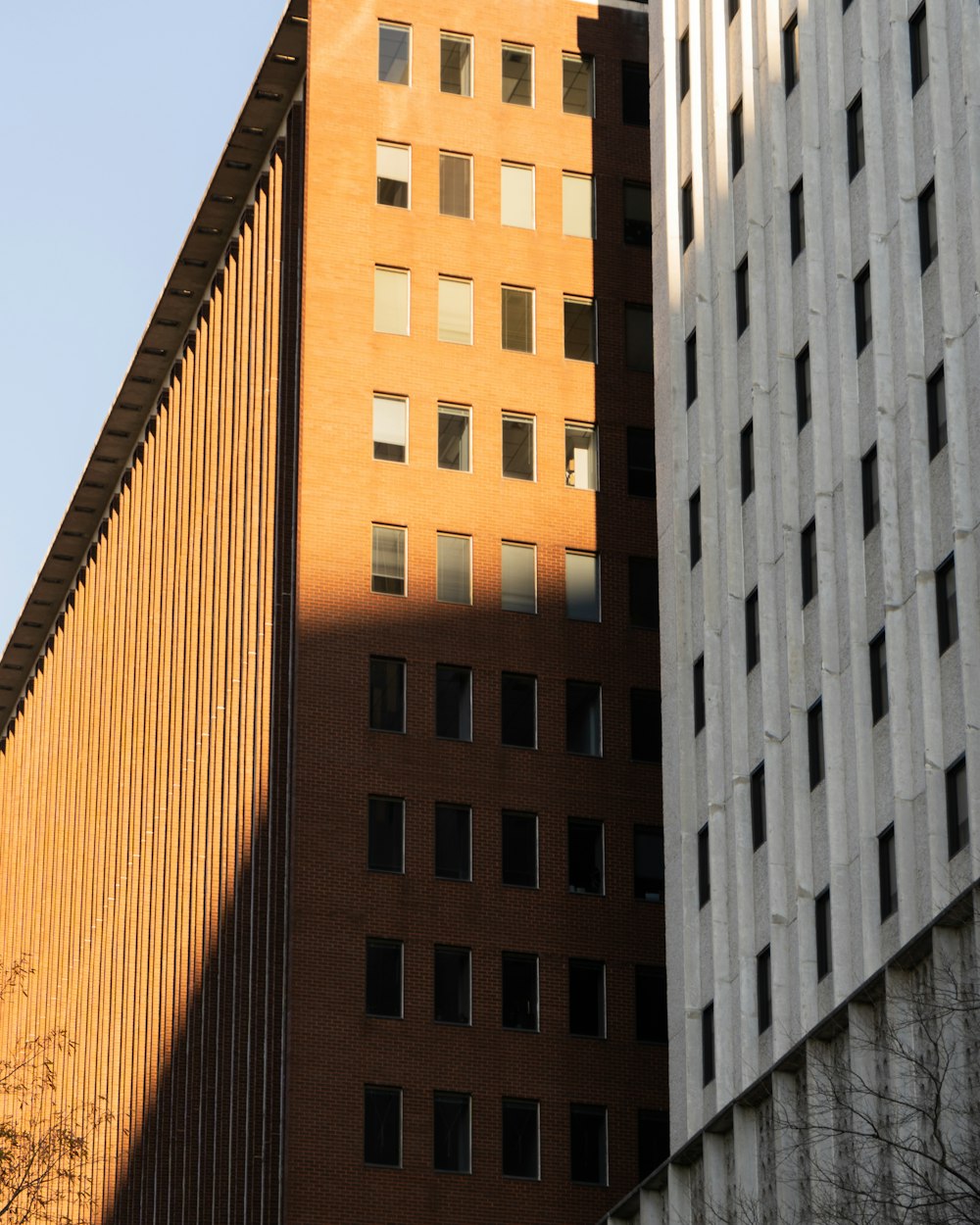 shallow focus photo of brown building