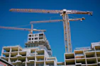 shallow focus photo of brown cranes