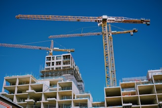 shallow focus photo of brown cranes