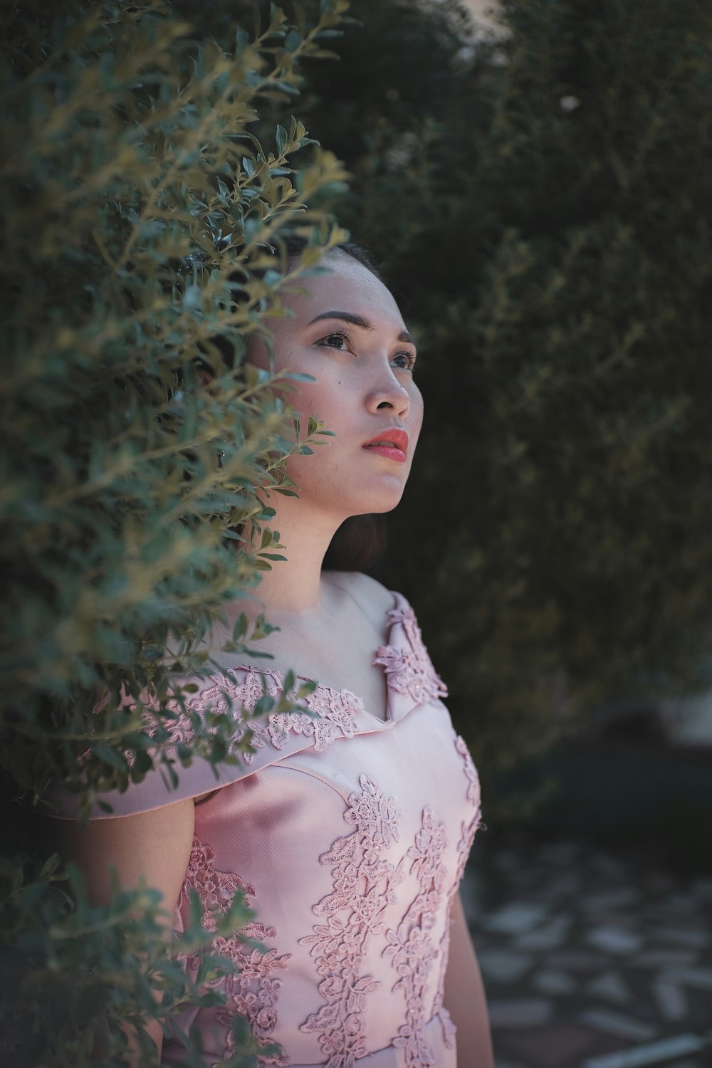 woman wearing pink dress standing while leaning on rosemary plant