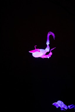 A glowing blue axolotl-like frog mascot floating inside a swirling cosmic vortex with stars sparkling around it.