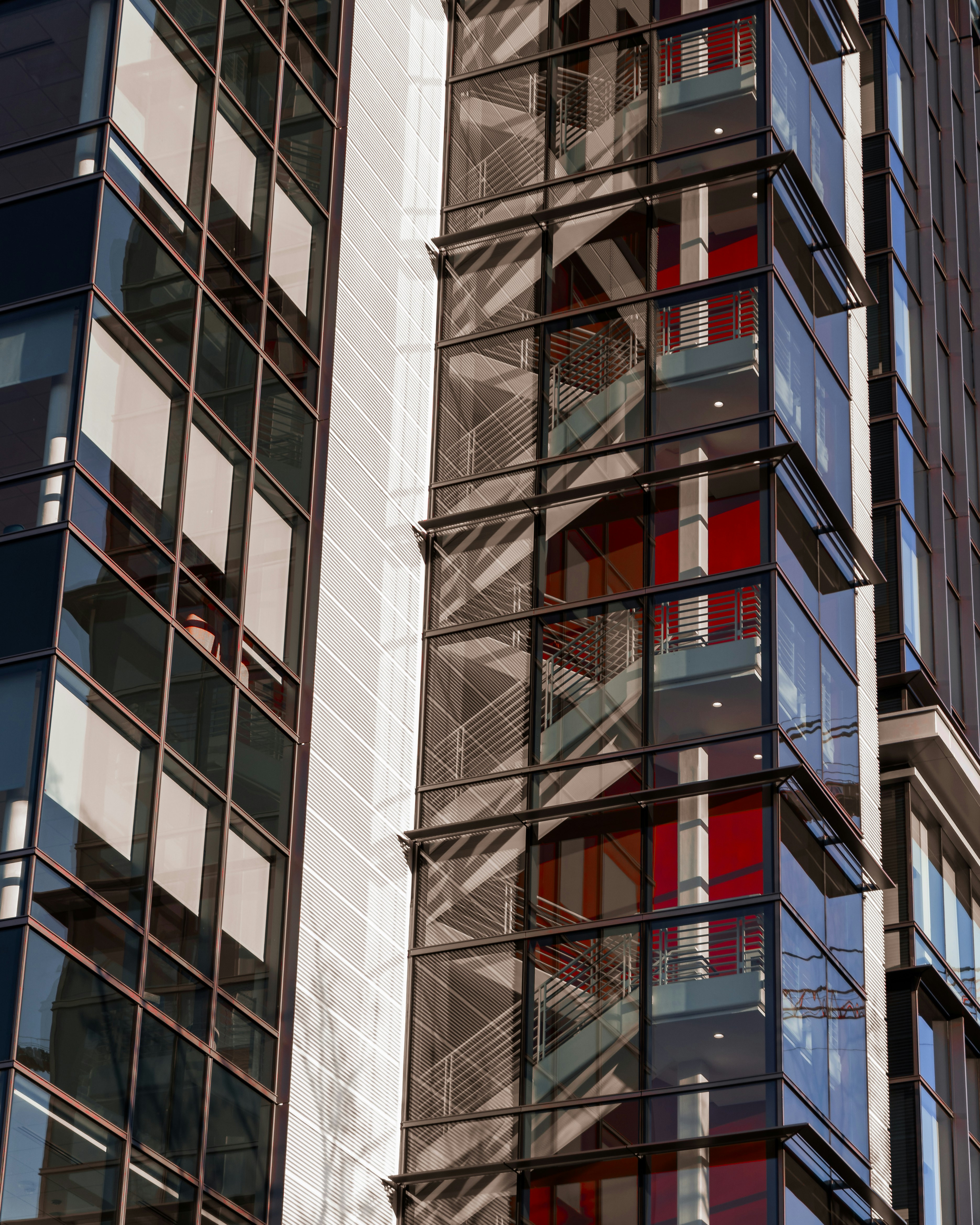 Expert Support Team Image