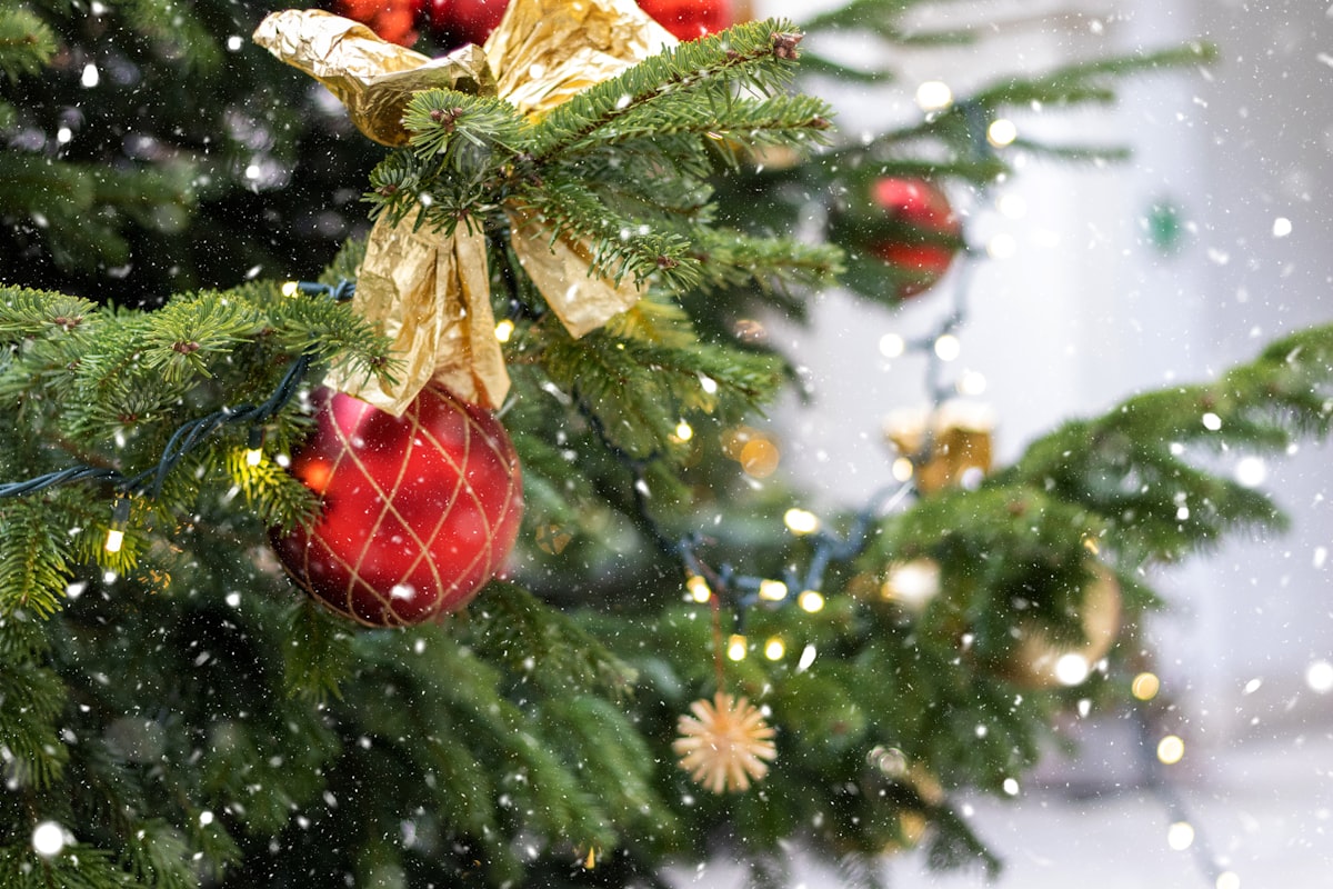Weihnachten in Österreich: Alle Termine und Informationen zum Feiertag