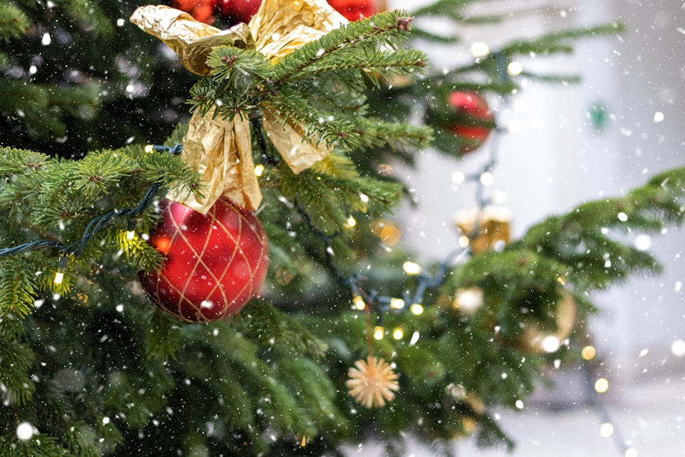 shallow focus photo of red Christmas bauble